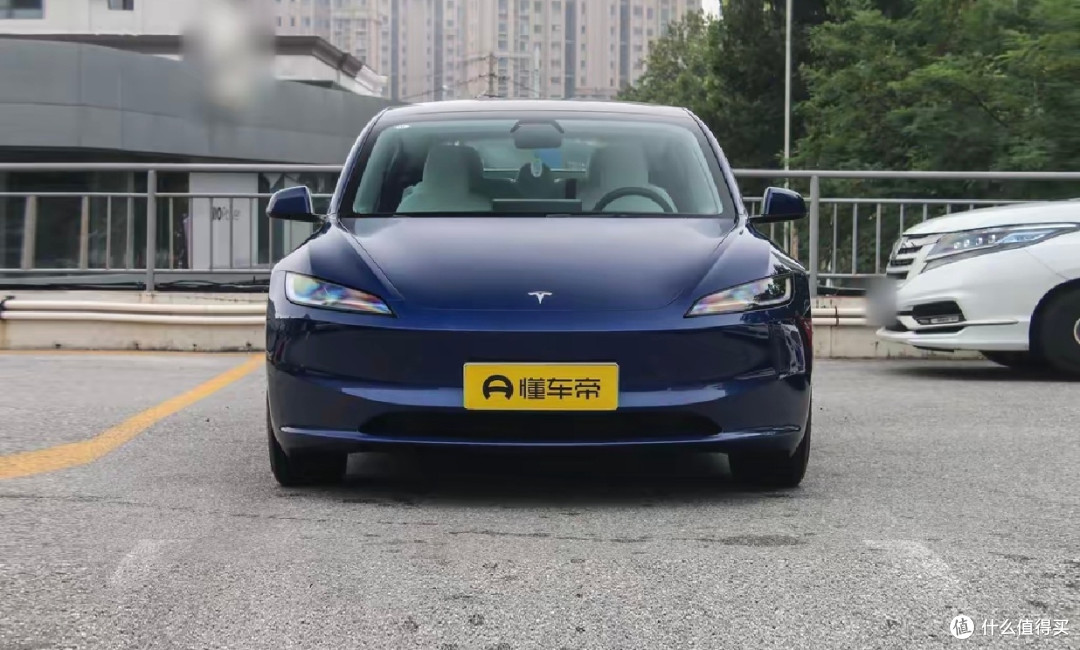 丐版特斯拉:青菜萝卜,各取所爱