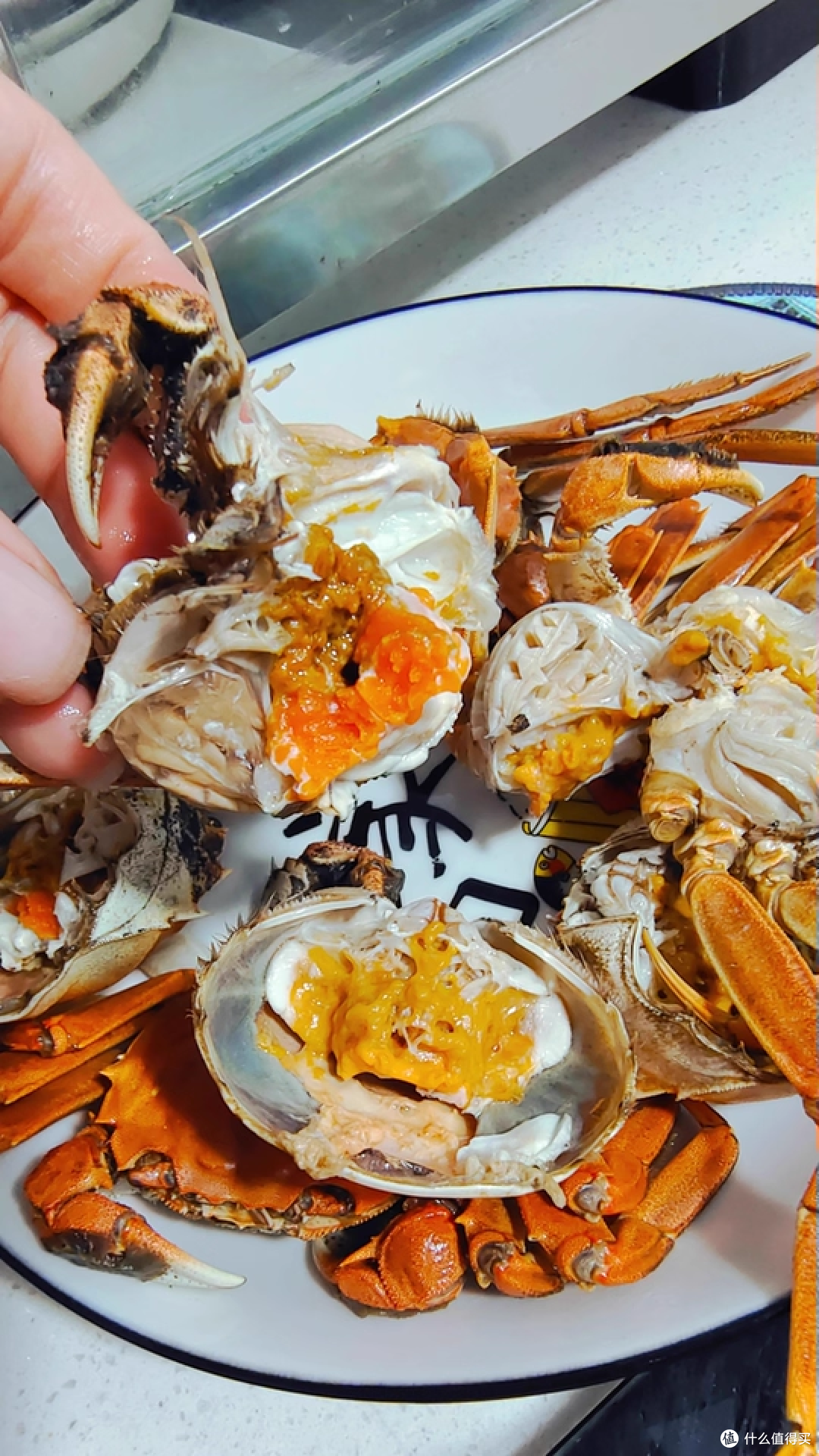 双11囤苏湖港大闸蟹,家庭聚餐首选