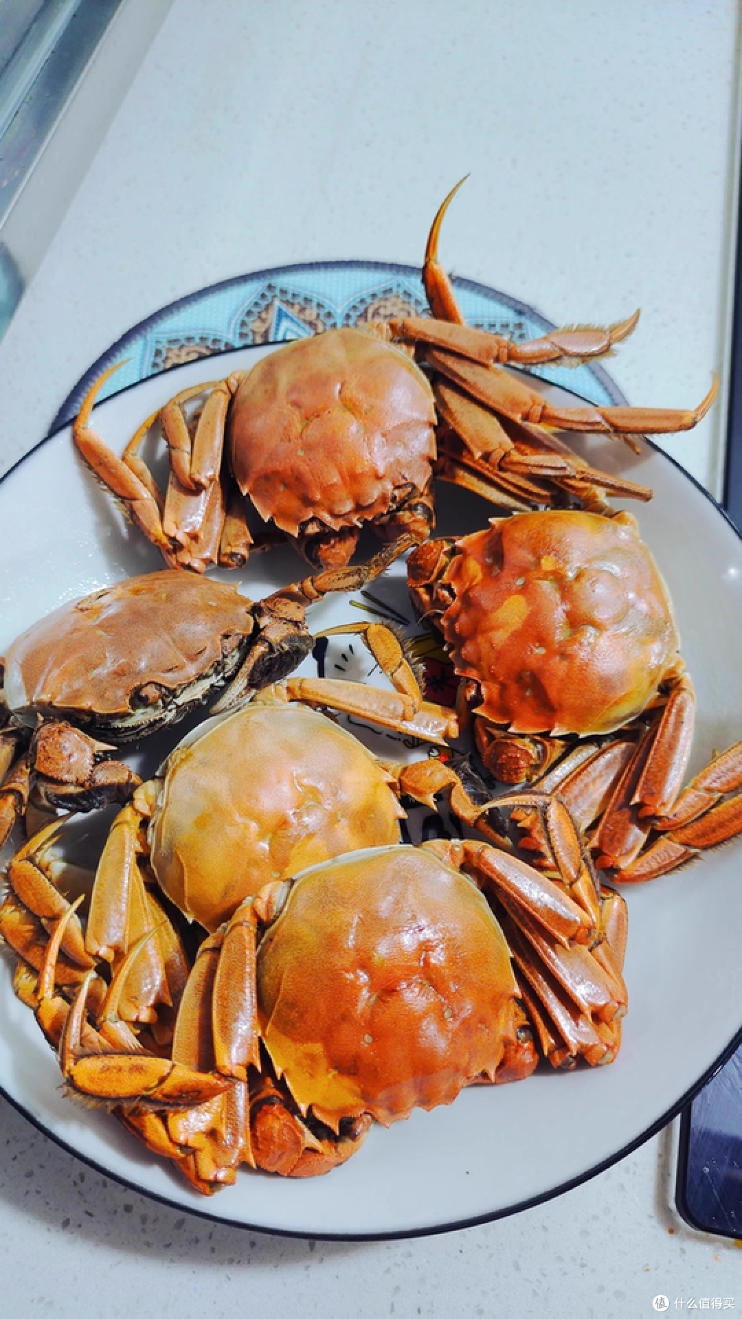 双11囤苏湖港大闸蟹,家庭聚餐首选