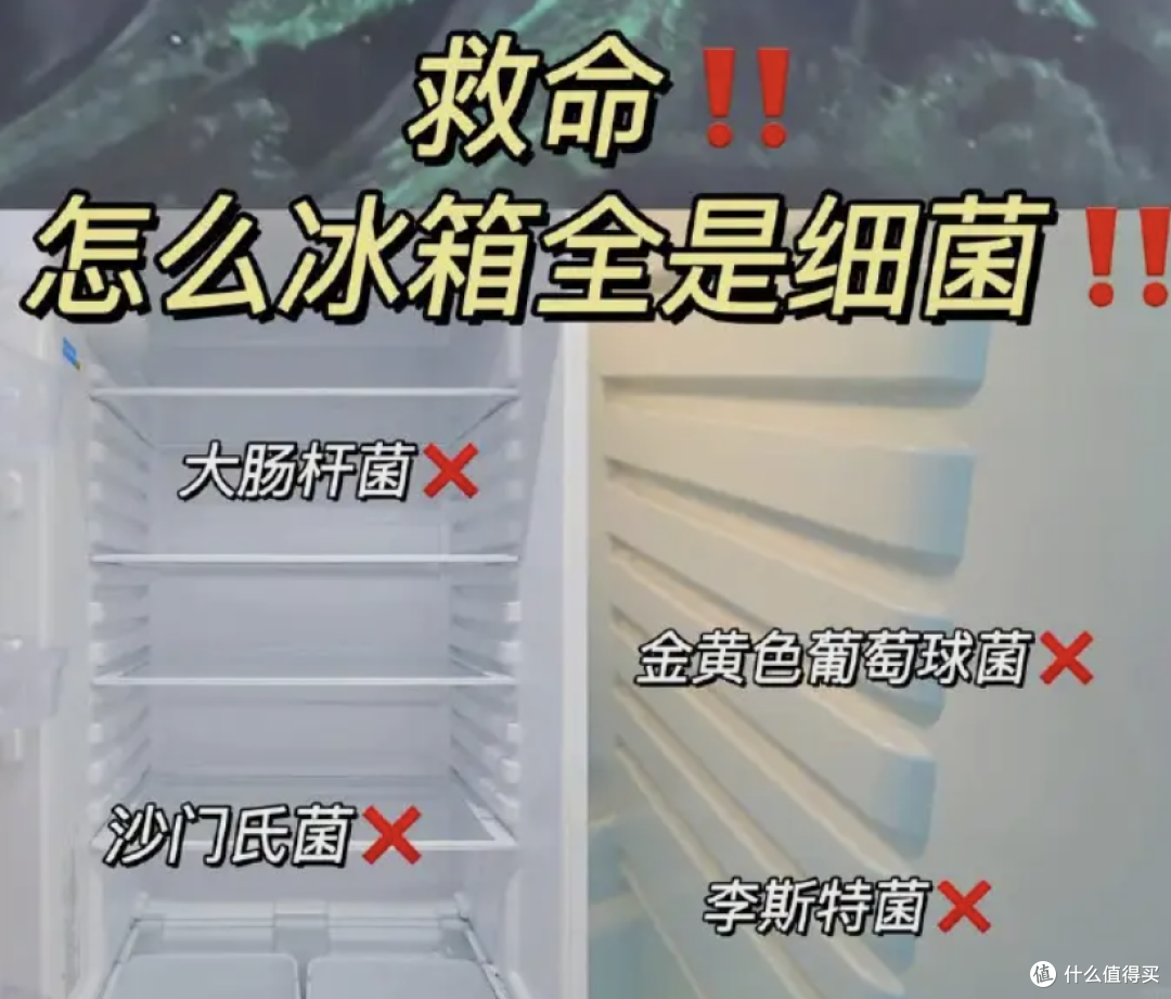 双十一来袭,容声冰箱怎么选看这篇就够了
