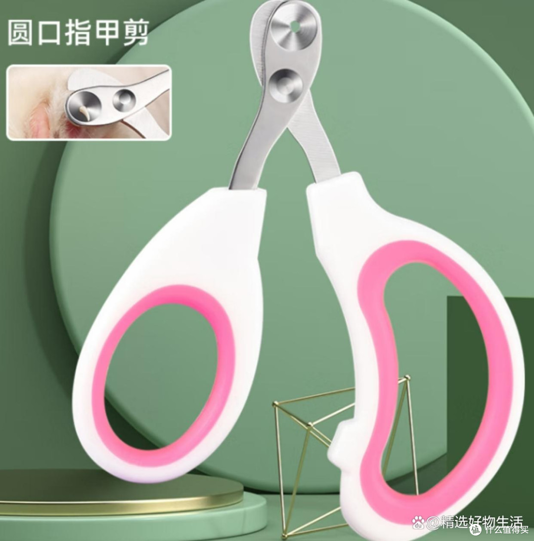 宠物用品十大推荐,打造萌宠幸福生活!