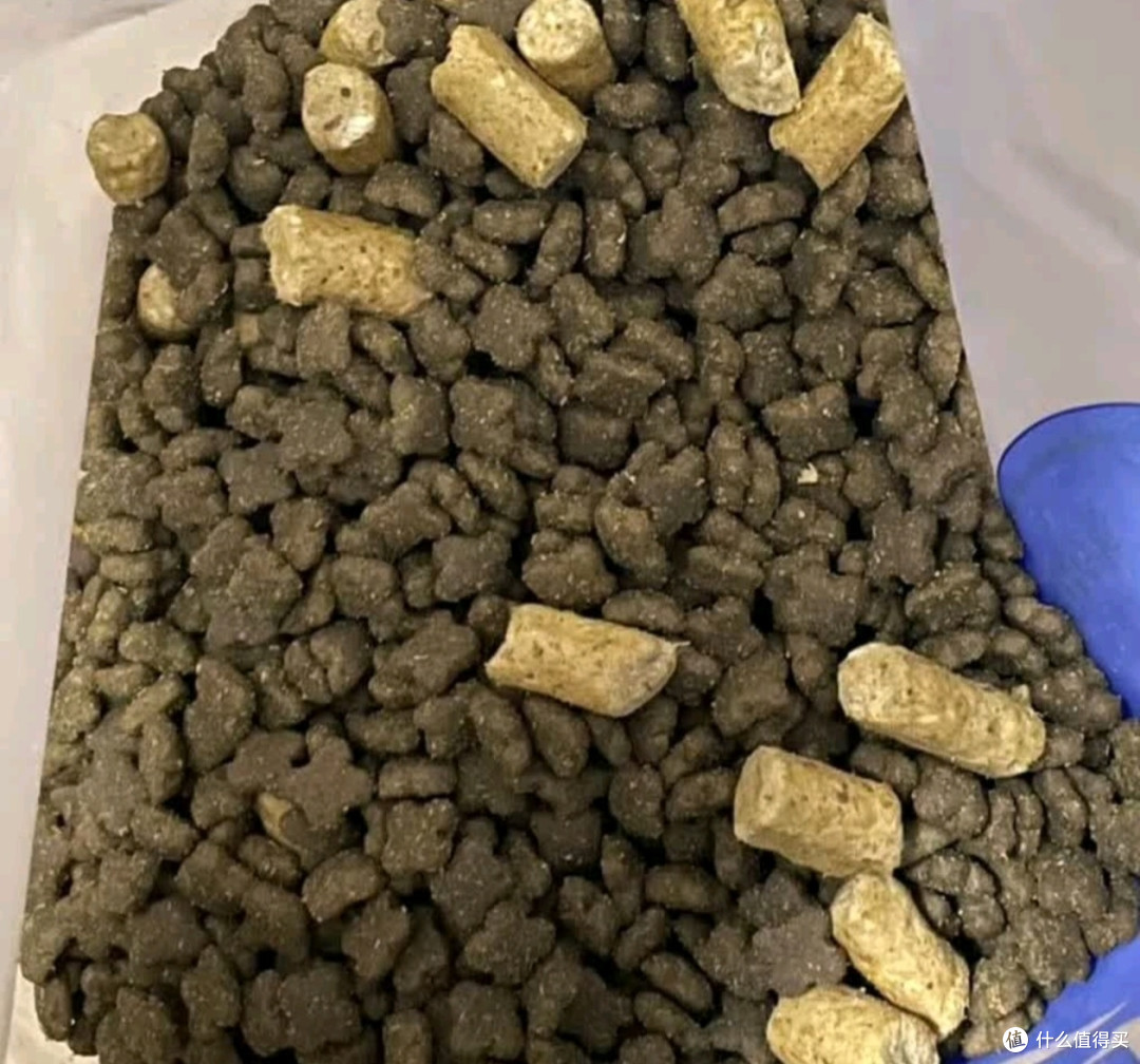双十一大促是猫咪囤积口粮的好时机。