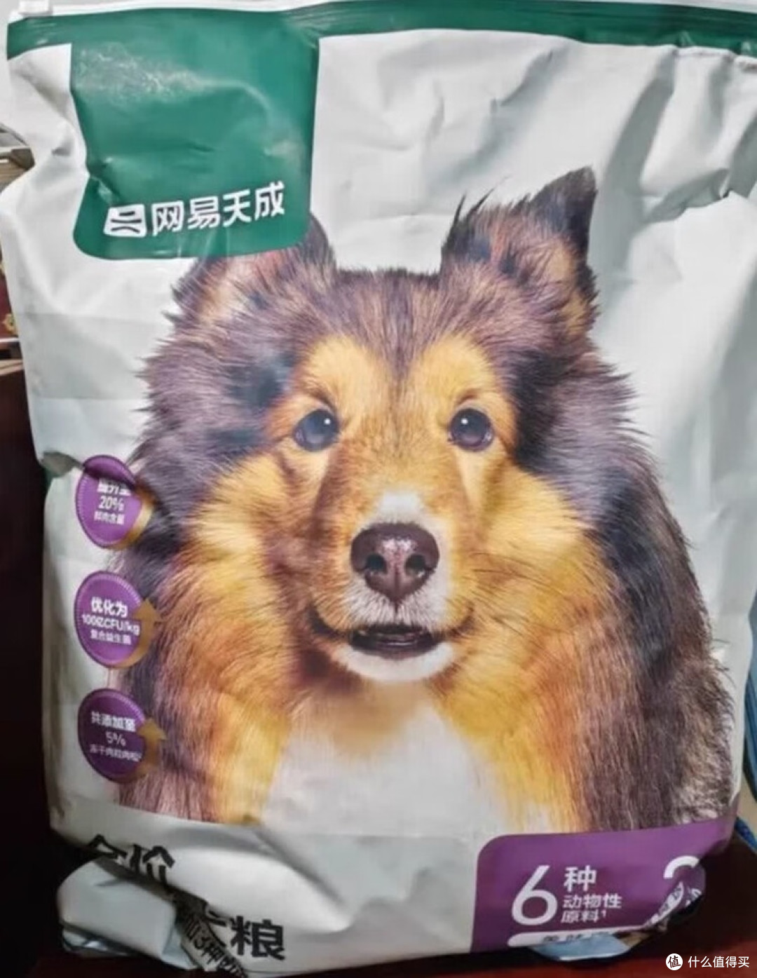 网易天成狗粮解决挑食问题