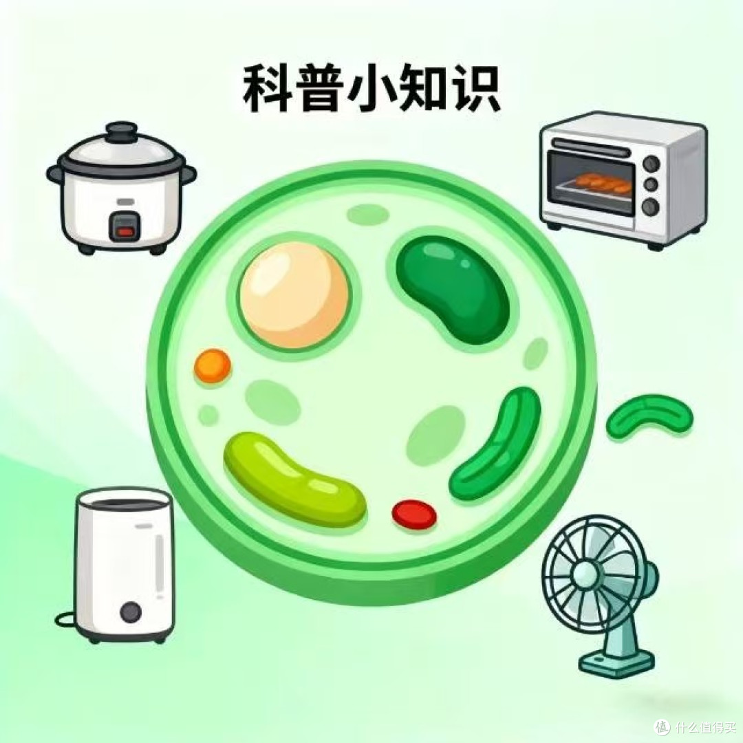 冰箱的门有什么特别的含义嘛？