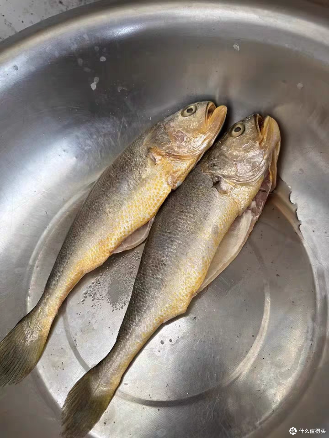 冰鲜大黄鱼，双11囤货首选