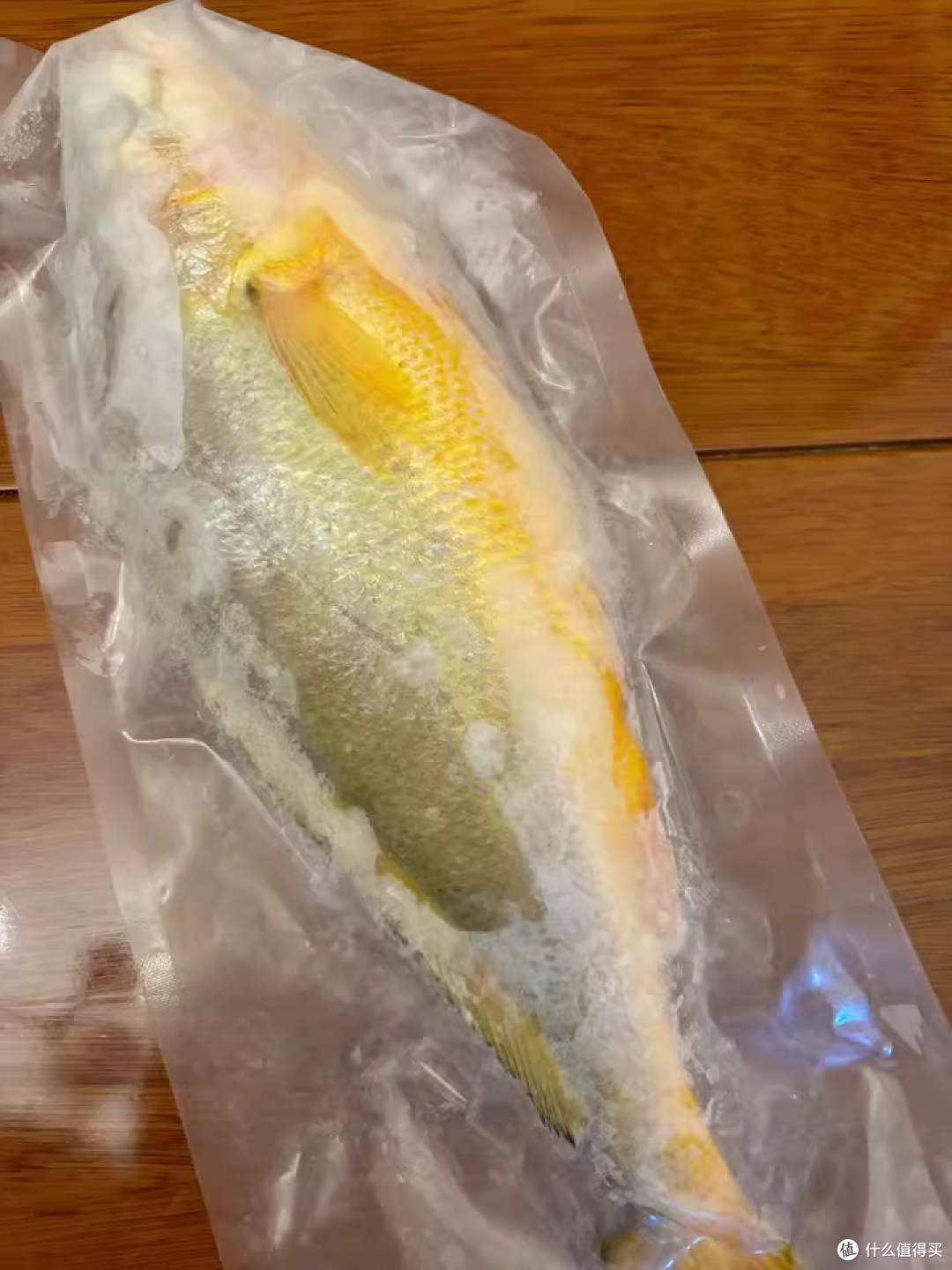 冰鲜大黄鱼，双11囤货首选