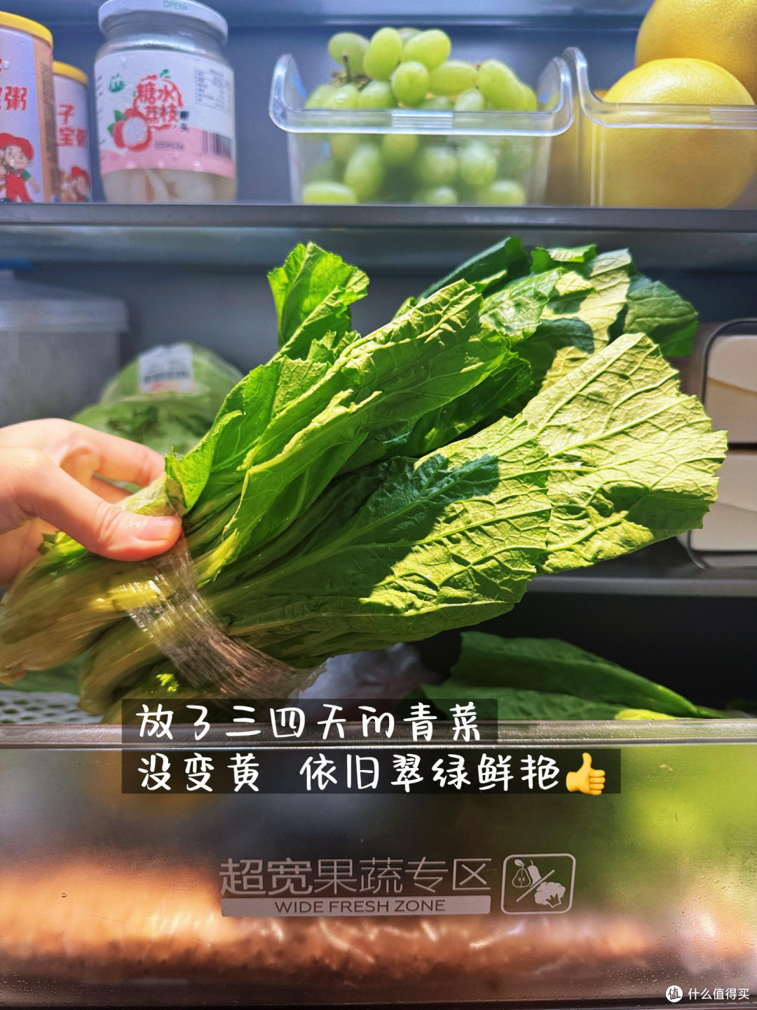 3K+零嵌入母婴冰箱,让我幸福当懒妈!
