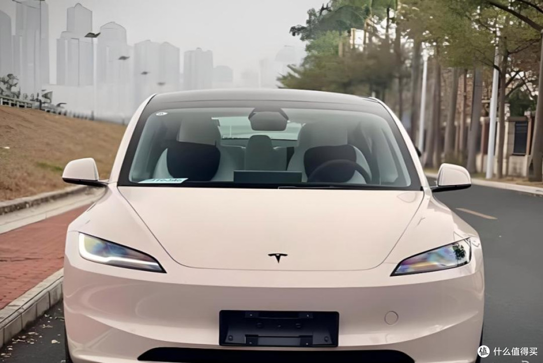 丐版特斯拉:家庭用户的实用选择