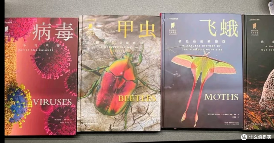让孩子爱上阅读的精美百科