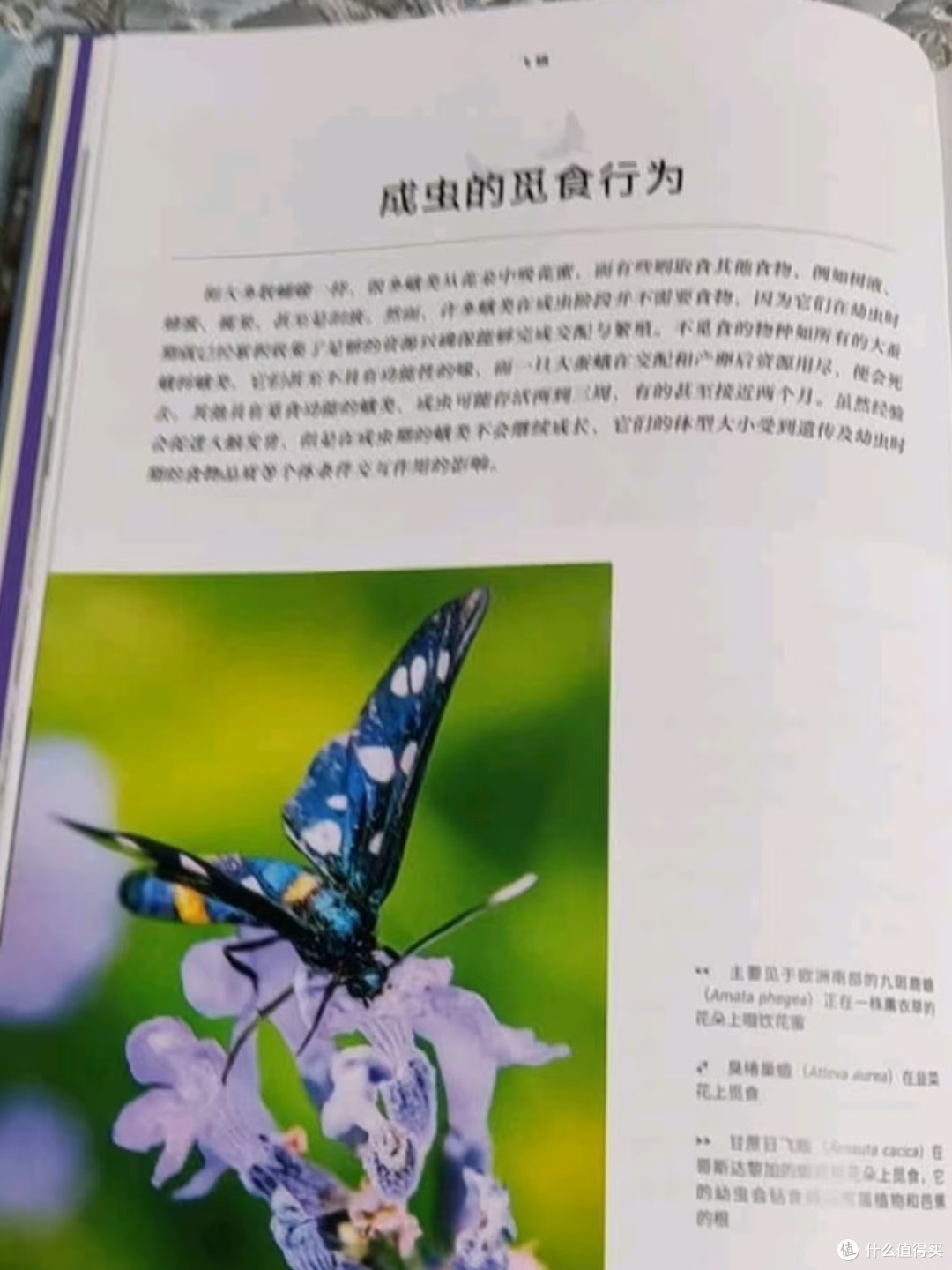 让孩子爱上阅读的精美百科