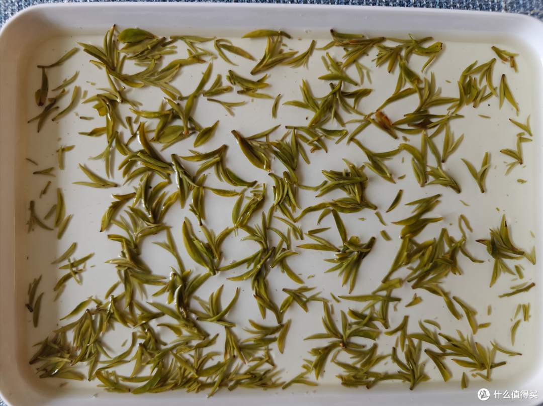 飞萃明前特一碧螺春测评,花果香、清鲜甘醇
