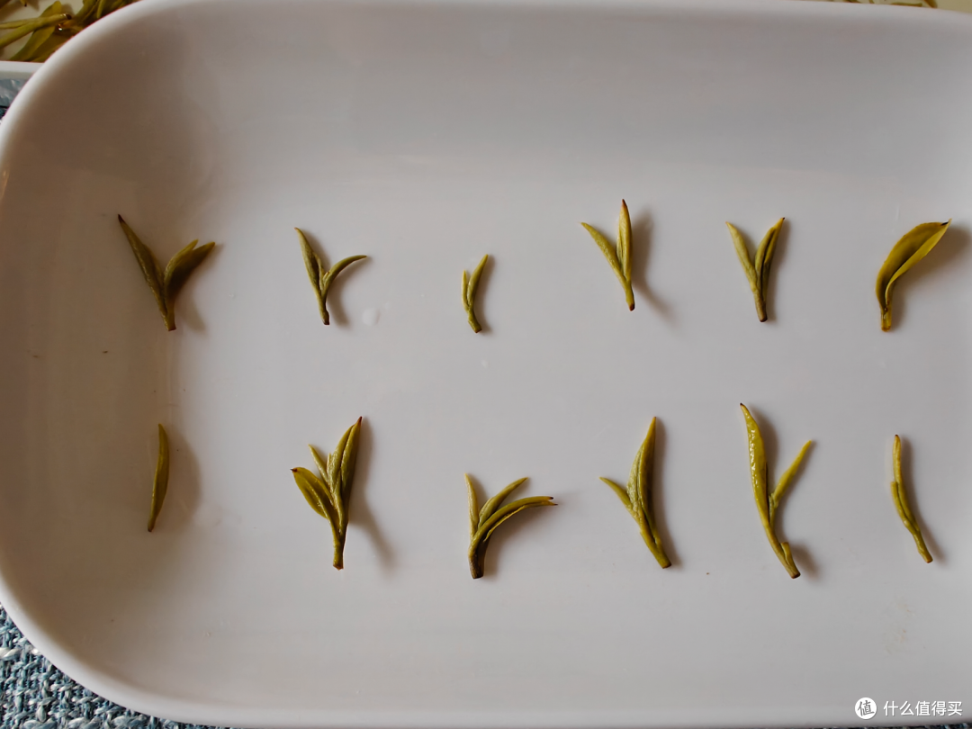 飞萃明前特一碧螺春测评,花果香、清鲜甘醇