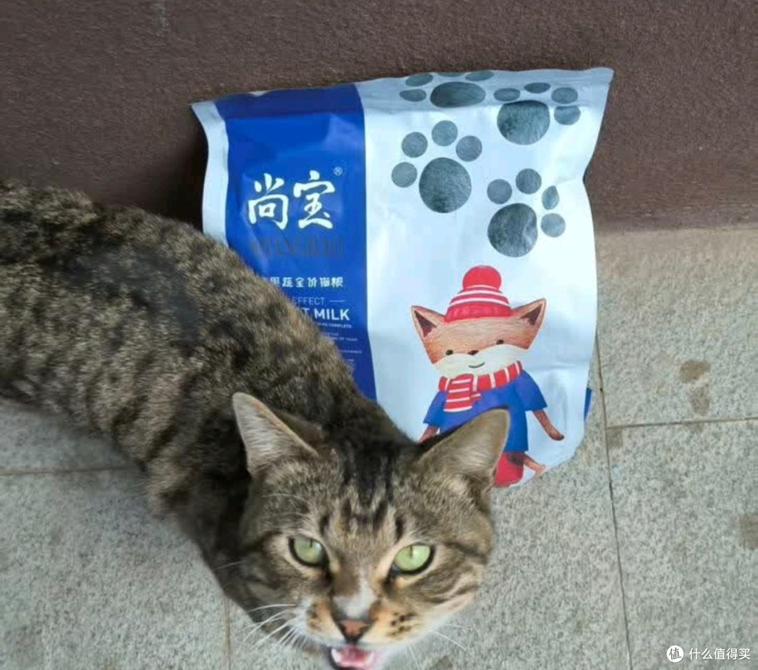 物流神速,客服专业,猫粮获主子青睐