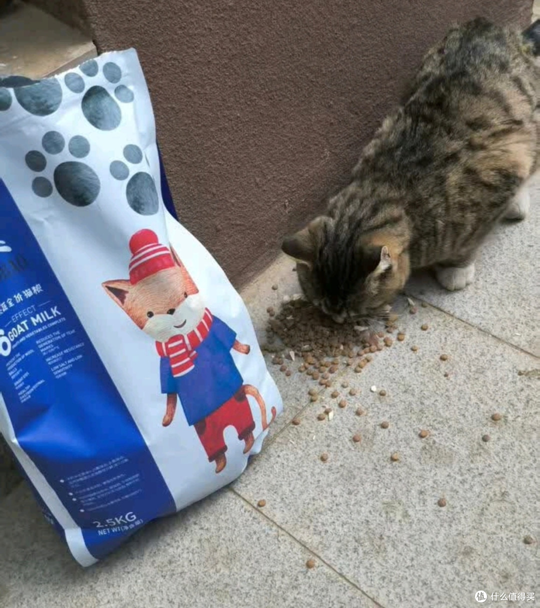 物流神速,客服专业,猫粮获主子青睐