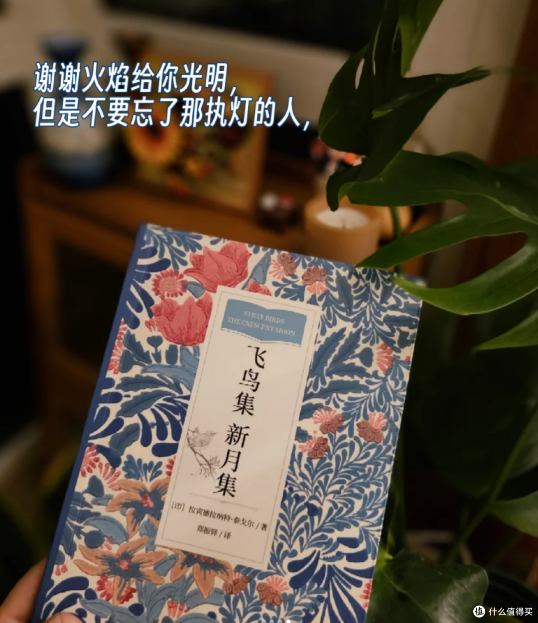 双11书单推荐➡️牛马被工作吸走了灵气?读书吧,用阅读洗涤心灵