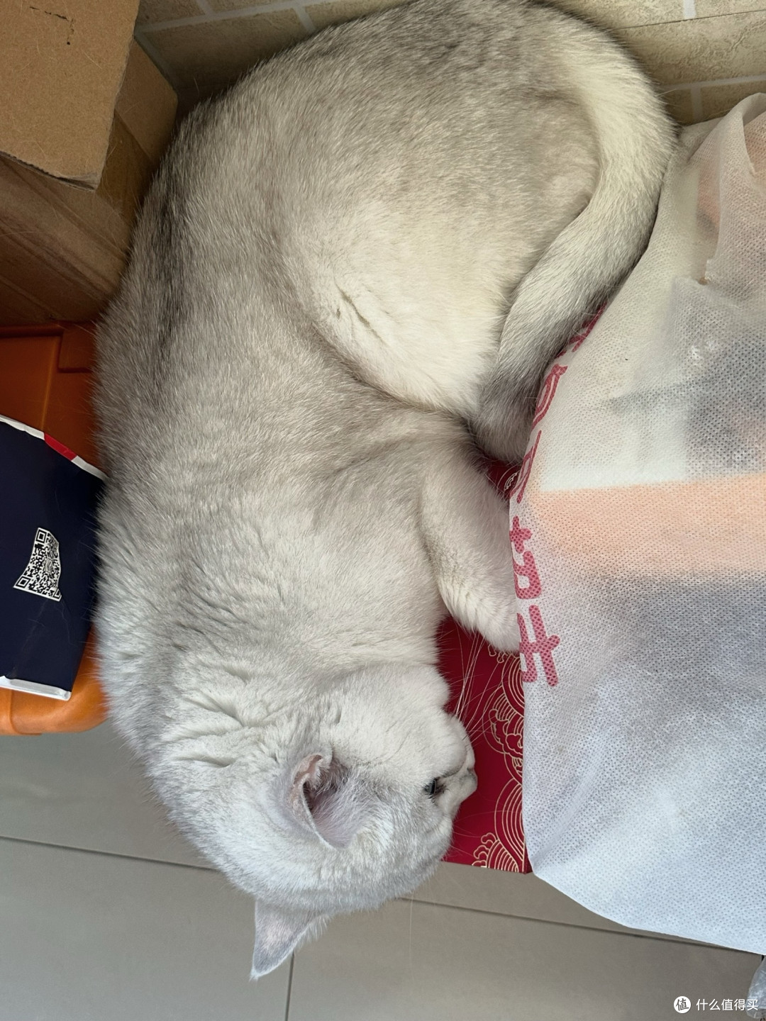 弗列加特全价鲜肉天然粮使用体验:成猫肠道养护的安心之选