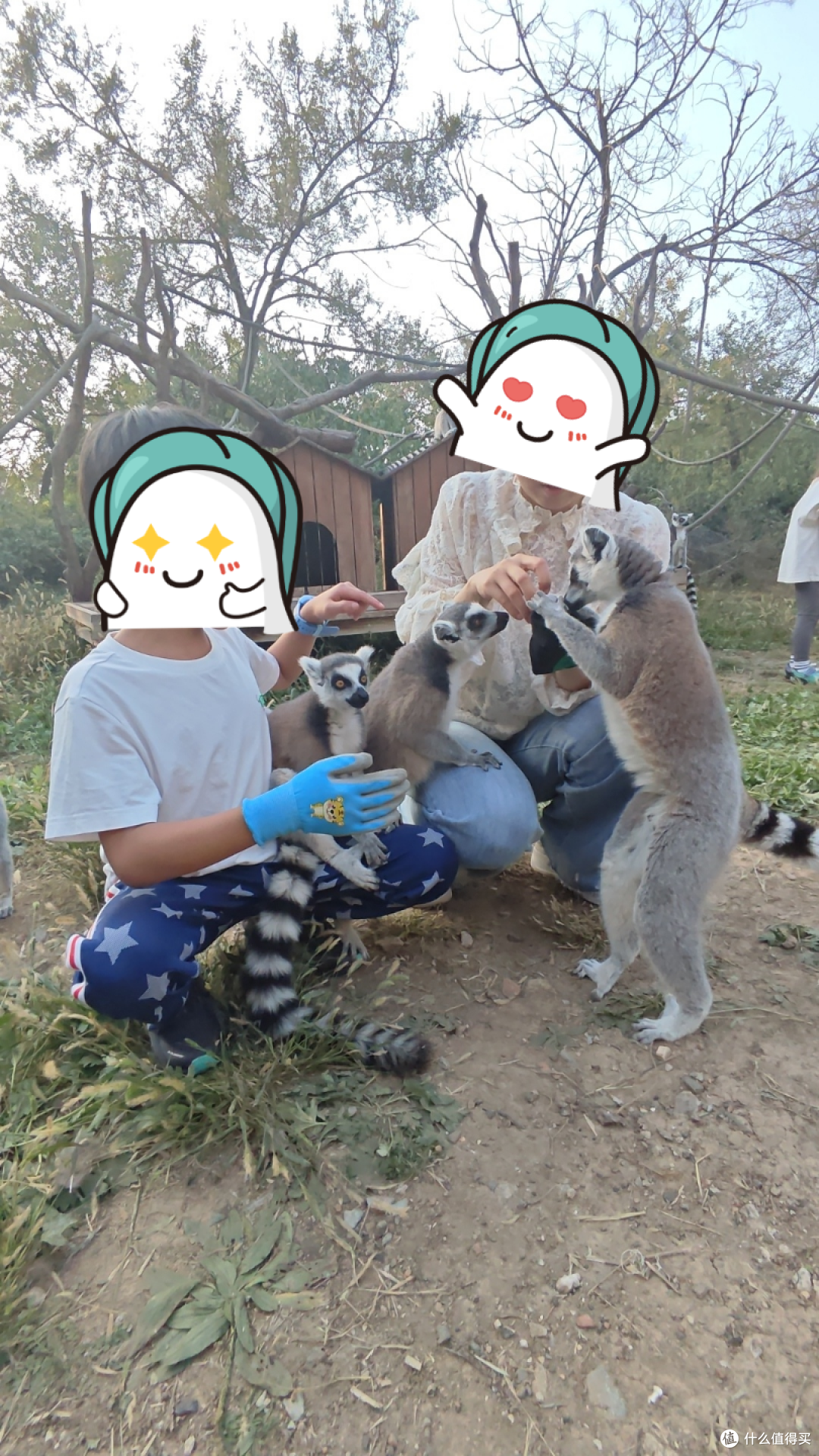 限时开放亲近体验