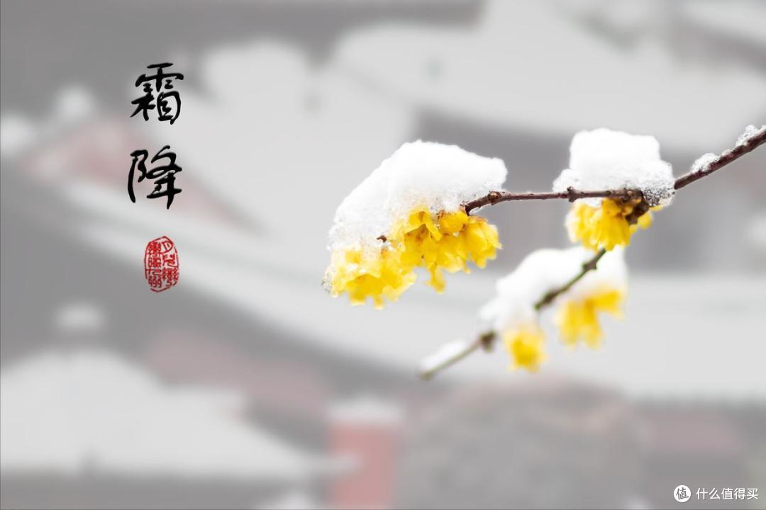 霜降,吃什么?喝什么?做什么?忌什么?都有讲究