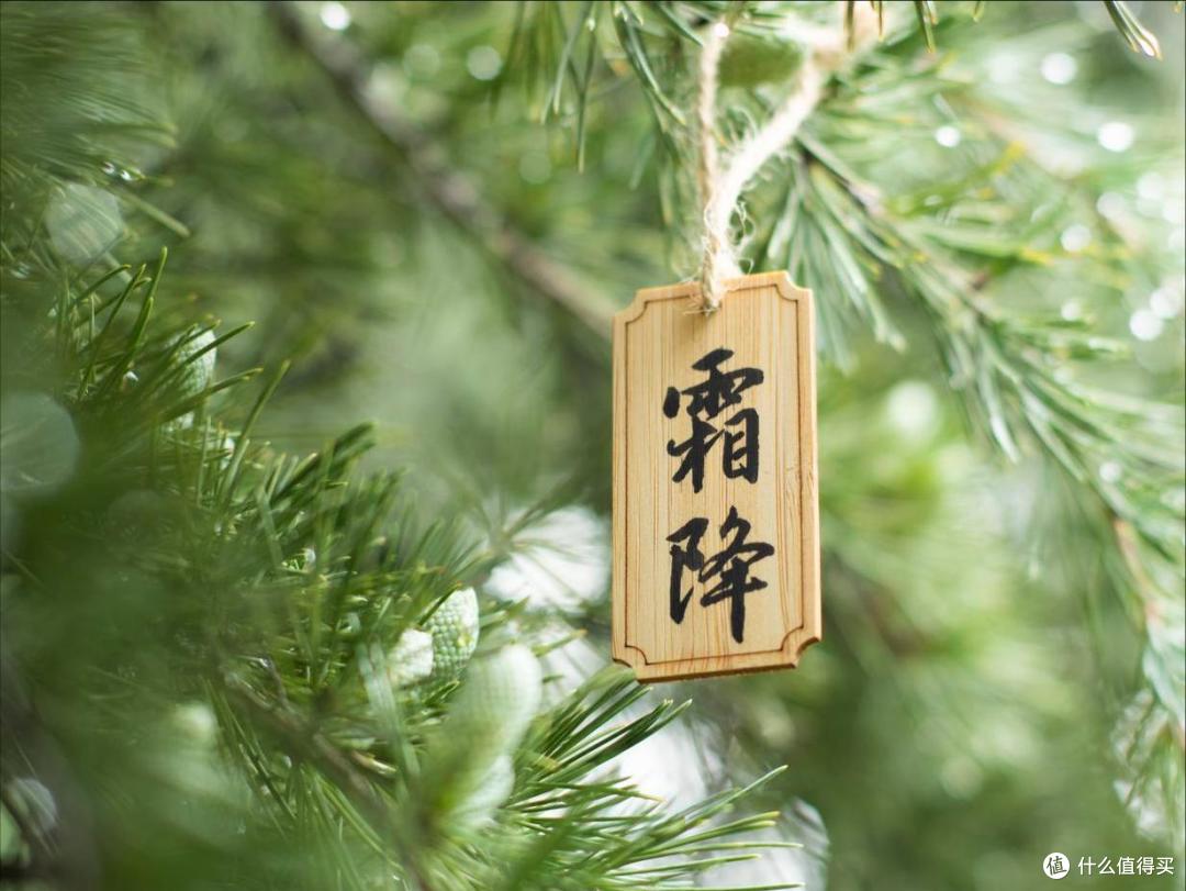 霜降,吃什么?喝什么?做什么?忌什么?都有讲究
