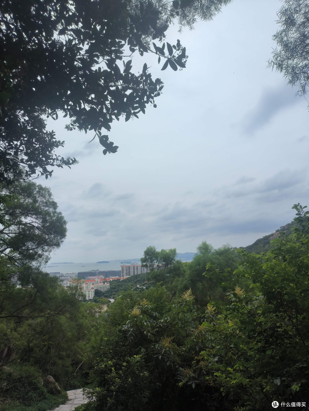 双十一厦门植物园:登高望海,邂逅城市氧吧浪漫