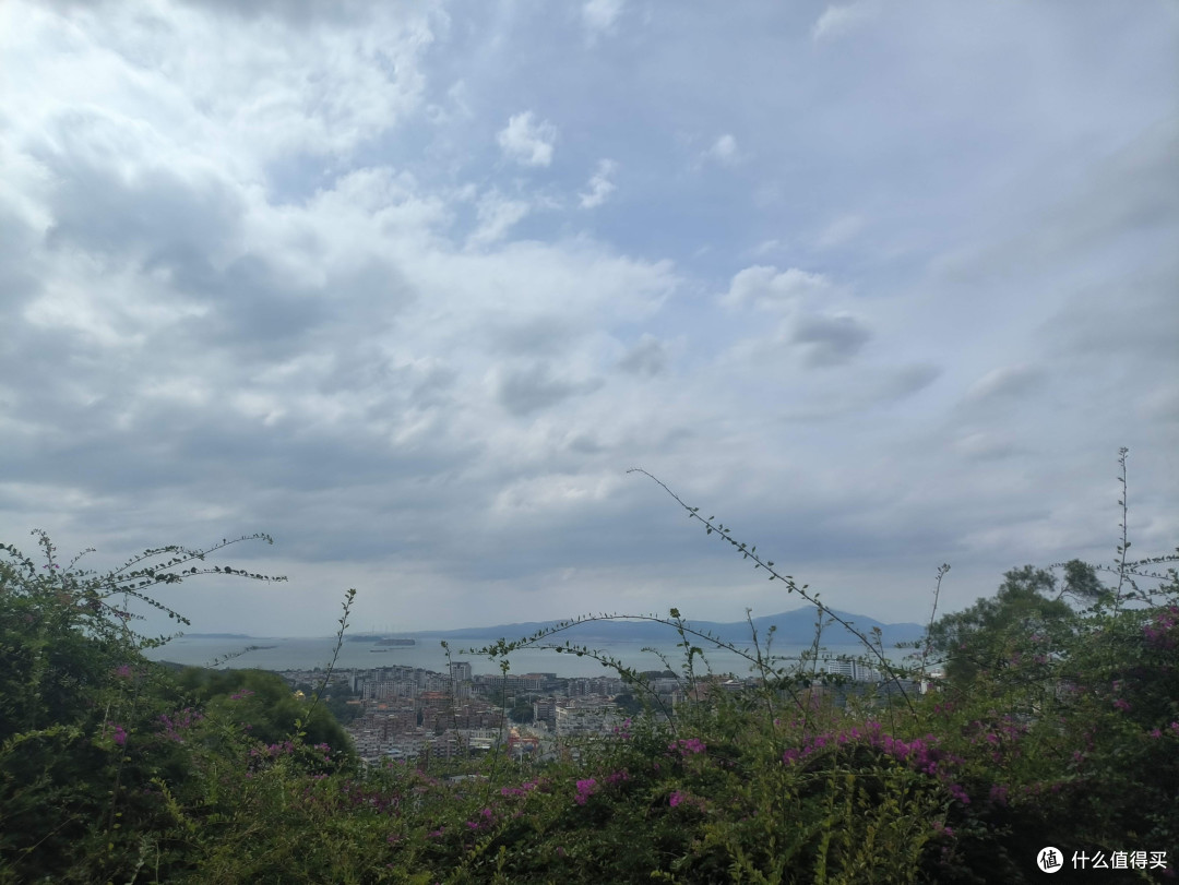 双十一厦门植物园:登高望海,邂逅城市氧吧浪漫