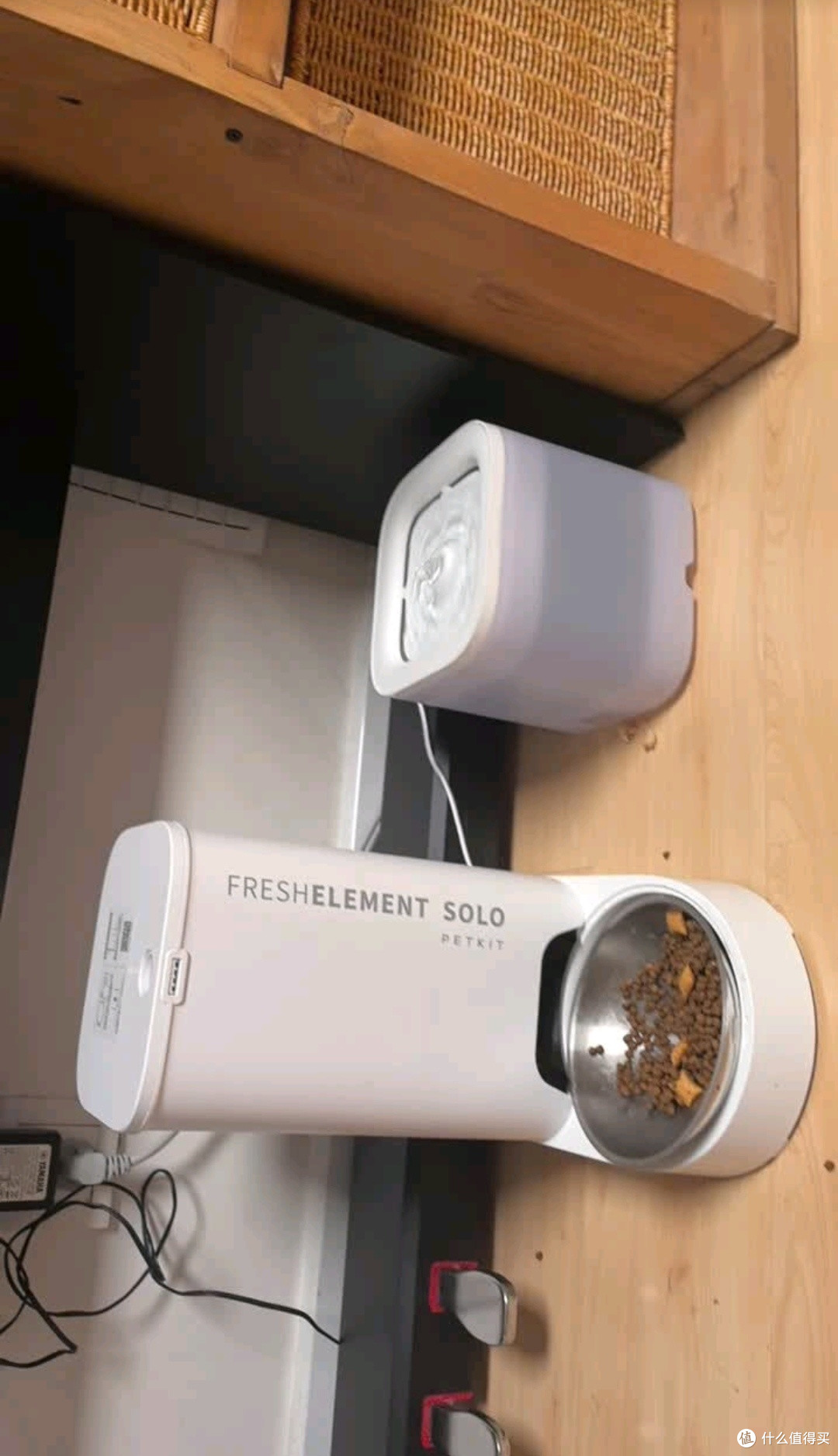 养宠党出差救星!小佩SOLO喂食器+SOLO SE饮水机,毛孩吃好喝好