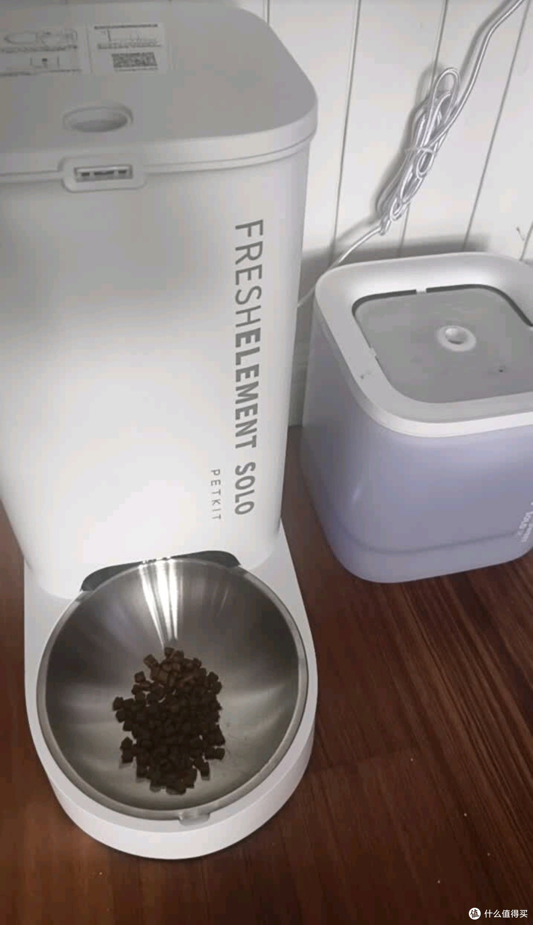 养宠党出差救星!小佩SOLO喂食器+SOLO SE饮水机,毛孩吃好喝好