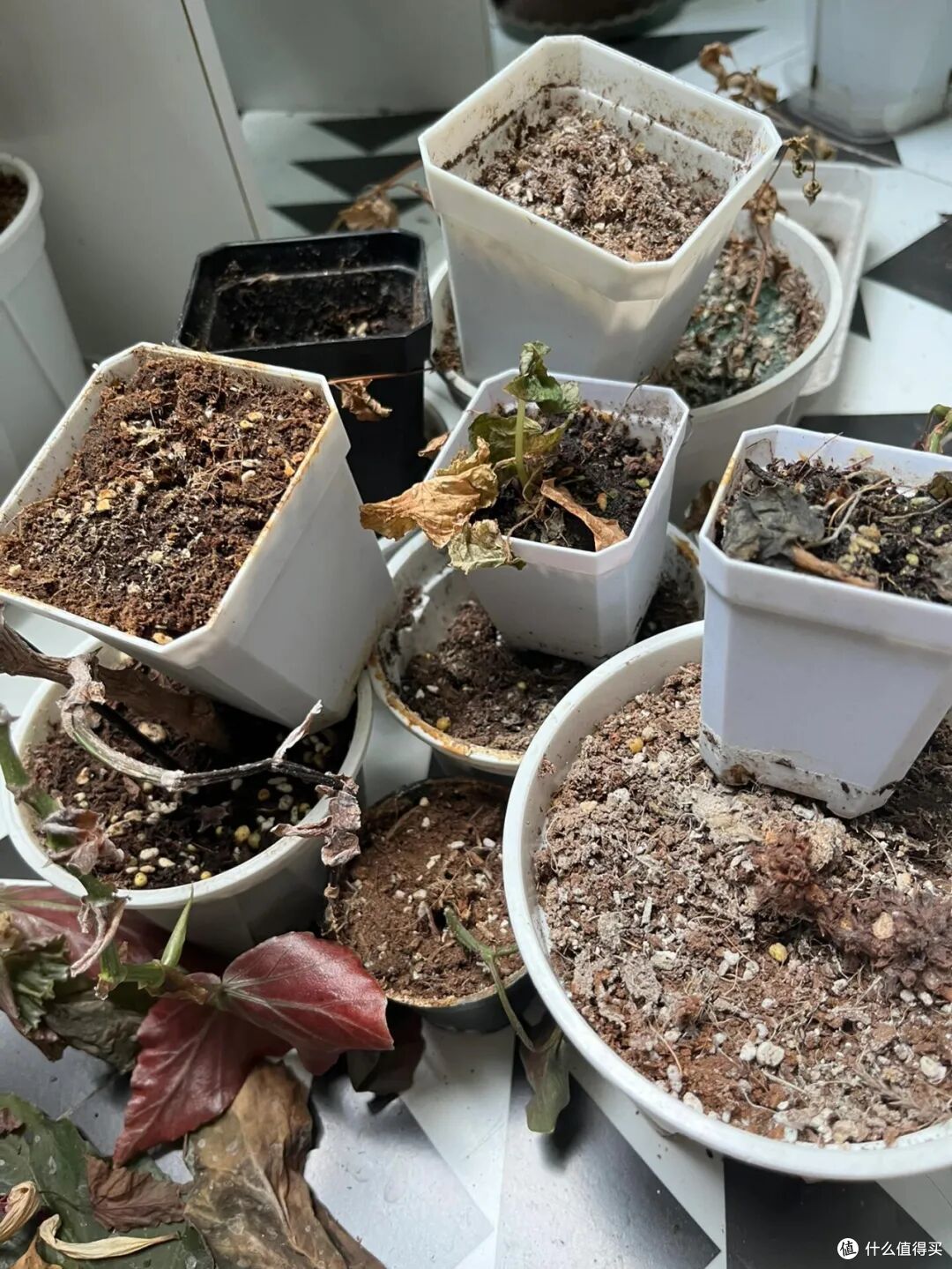 中年阿姨透露:家里乱的人都爱攒这7种物品,都是中国家庭的通病