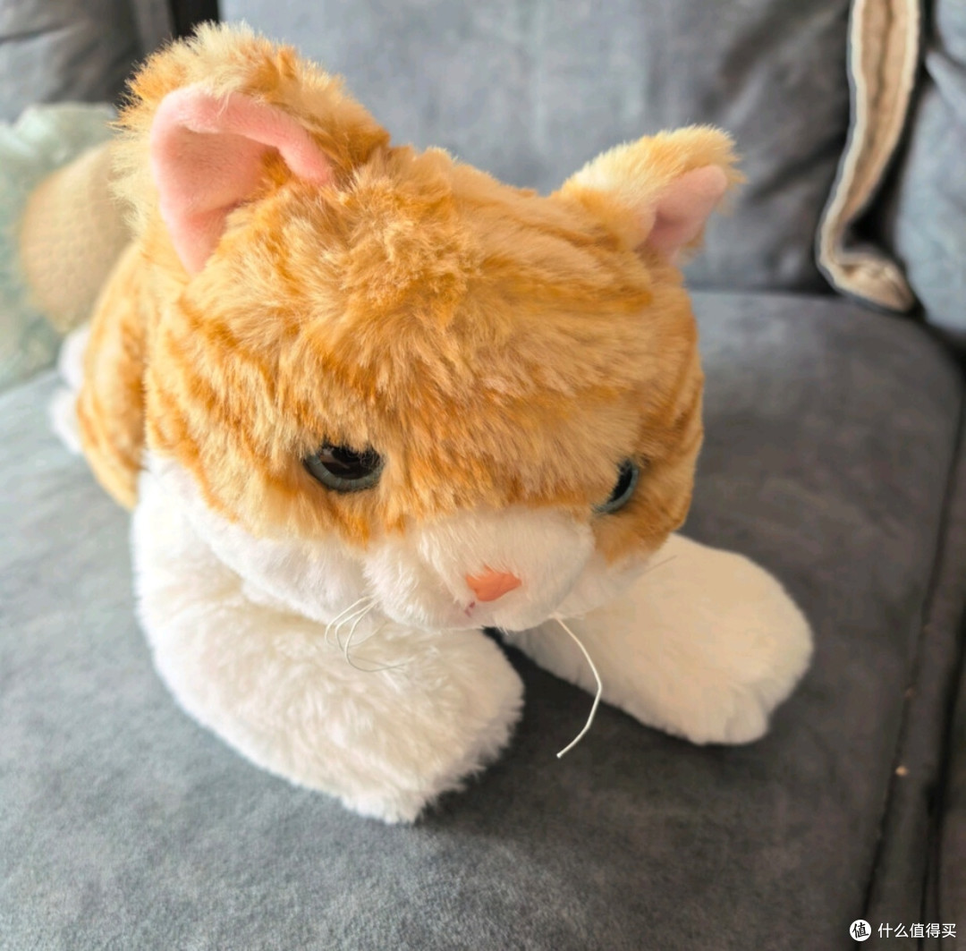 双十一精神食粮必囤!威尔通吉利猫公仔,把好运与治愈抱回家
