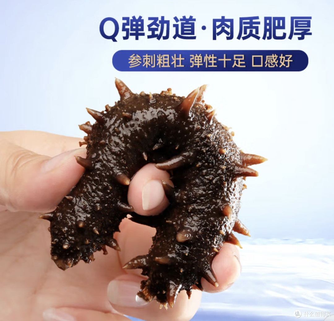 双11必囤!宫壹即食海参直接承包我家半个月的营养餐✨