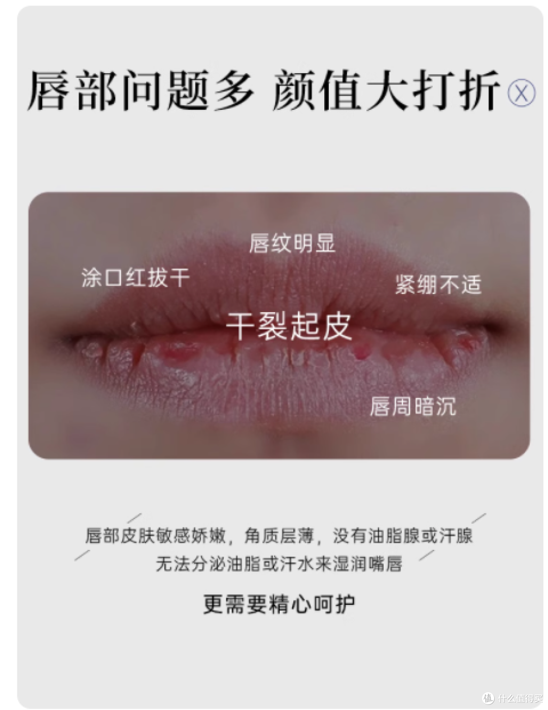 秋冬唇部救星!德国 Balea 芦荟润唇膏凭什么让我无限回购?
