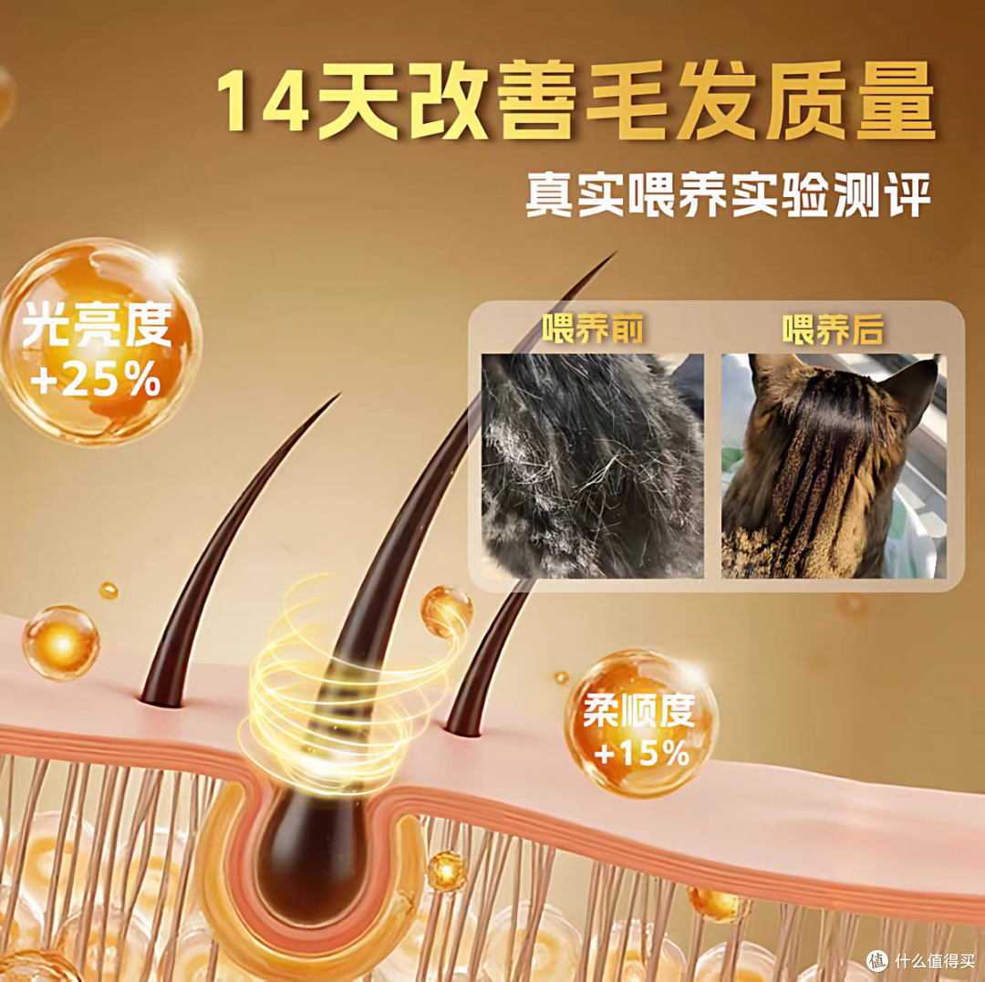 十大放心猫粮品牌排行榜哪个牌子好?测评国产公认最好用的猫粮
