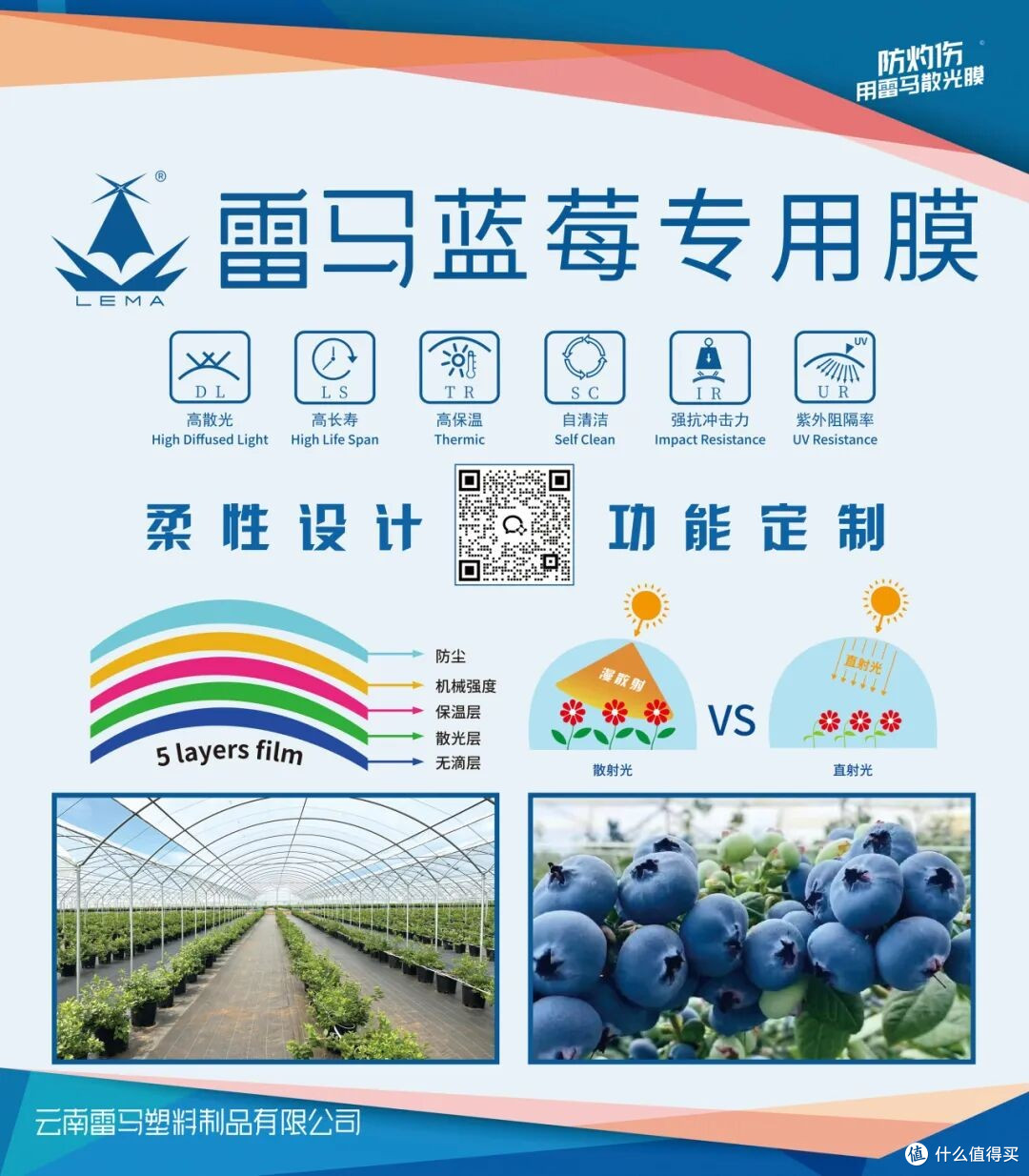 云南(玉溪)果蔬产业供需对接大会，雷马农膜赋能云系浆果产业升级