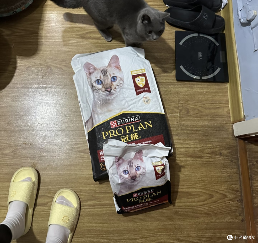 高蛋白益生元科学增重配方