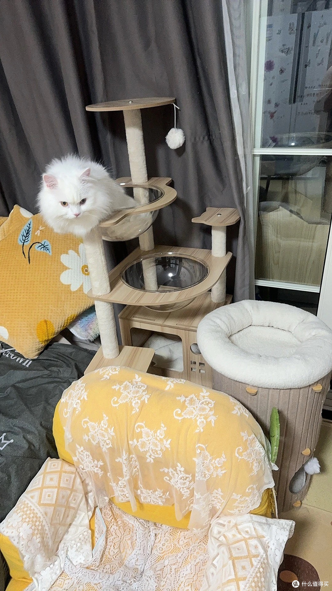 小户型养猫救星:大型猫爬架猫树一体