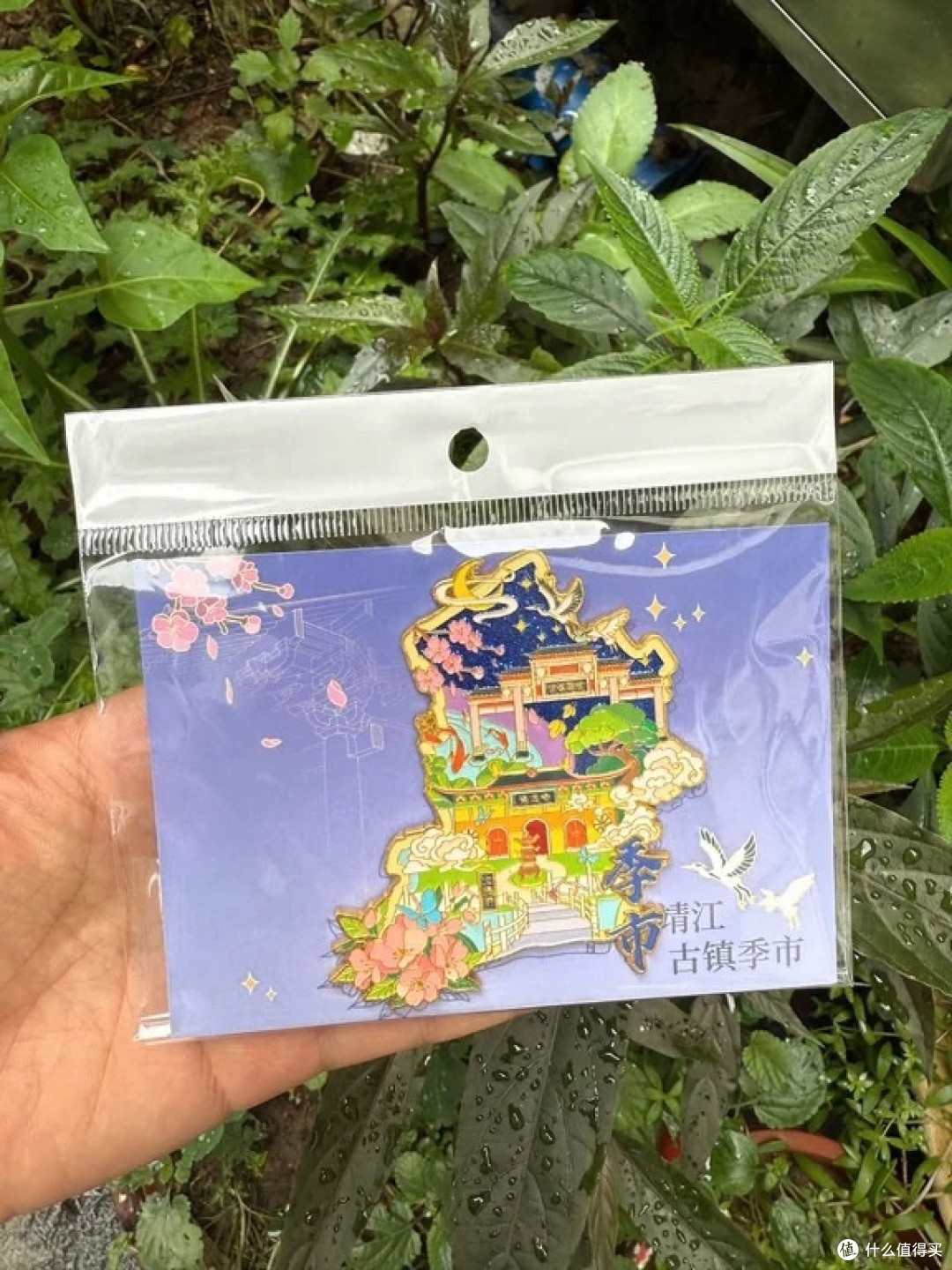 旅游省钱攻略：开启高性价比之旅