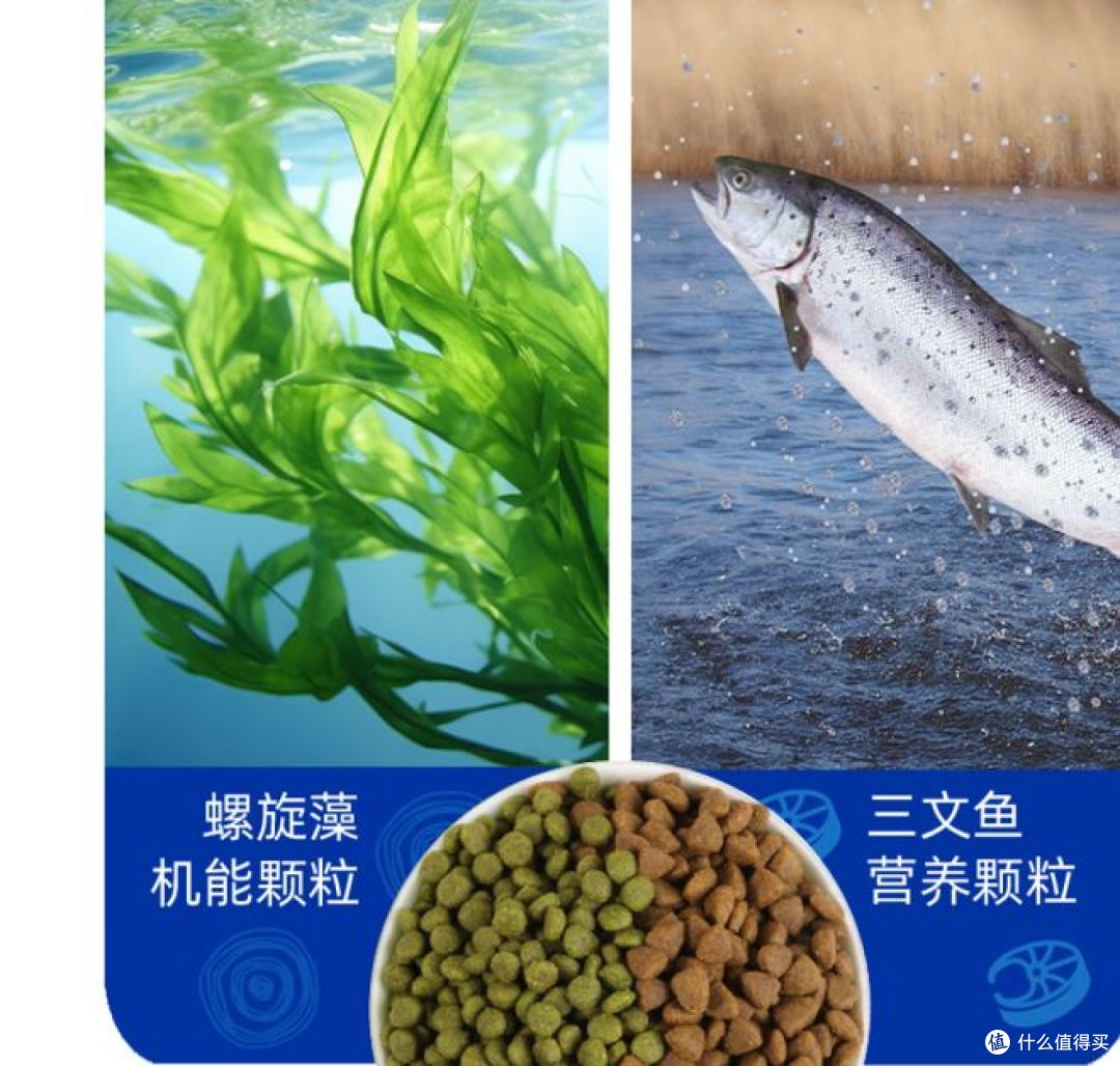 麦富迪三文鱼螺旋藻猫粮,均衡营养,10kg大包装