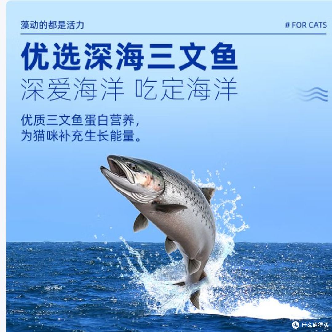 麦富迪三文鱼螺旋藻猫粮,均衡营养,10kg大包装