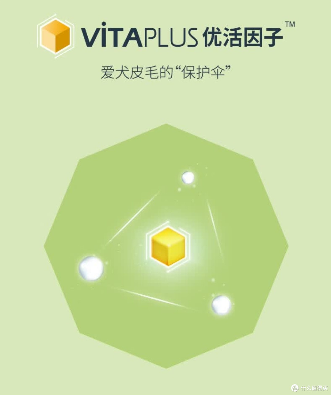 伯纳天纯羊肉蔓越莓中大型犬粮是一款营养全面中高端狗粮