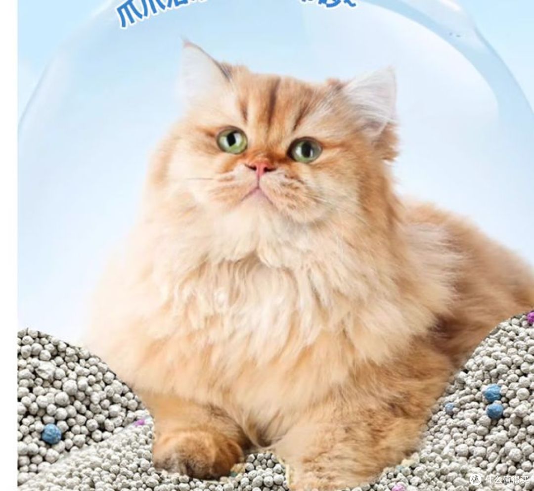 蓓恩低尘膨润土猫砂,除臭,10斤装,高效结团
