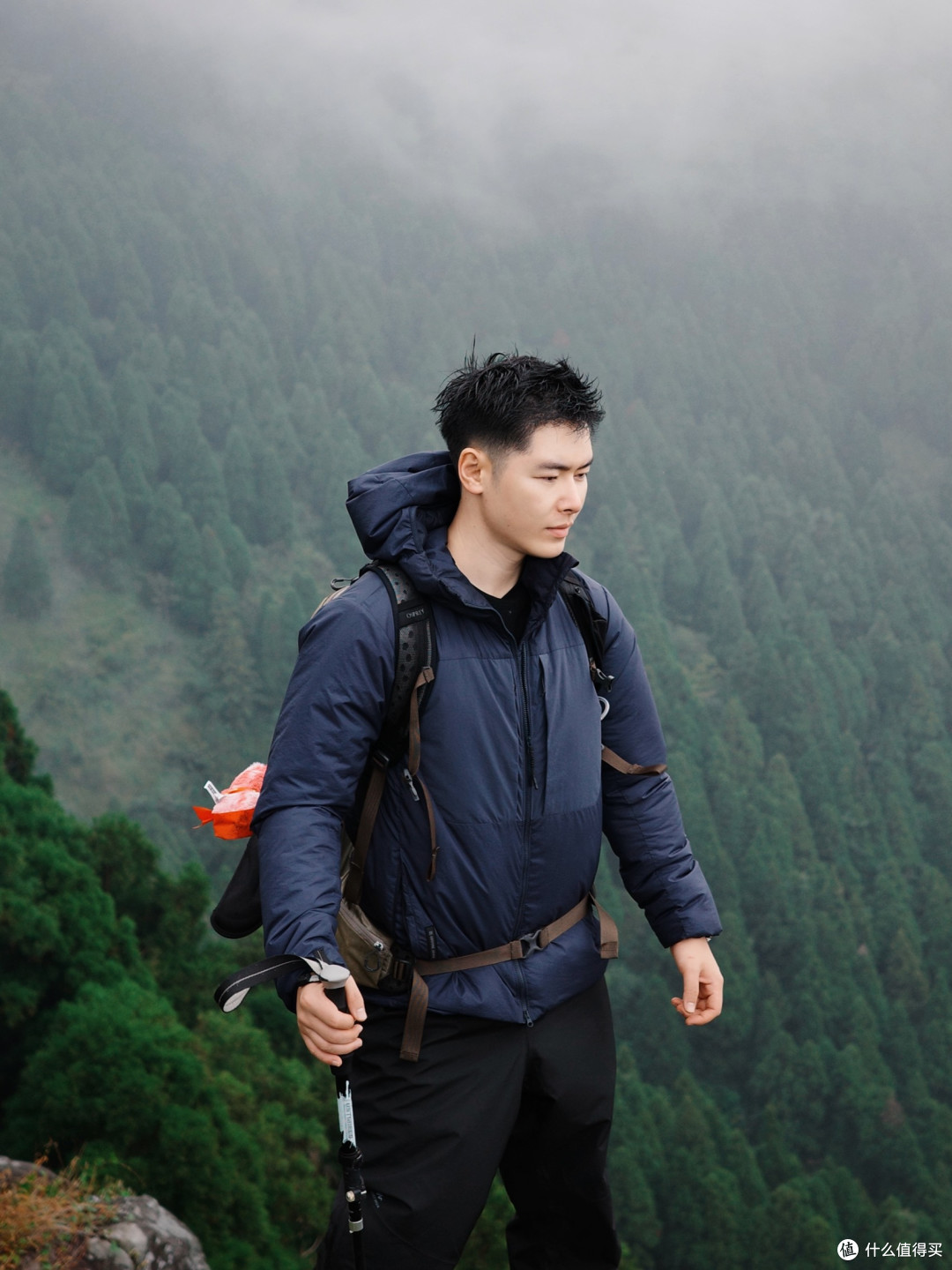 迷雾森林版六五顶🔝