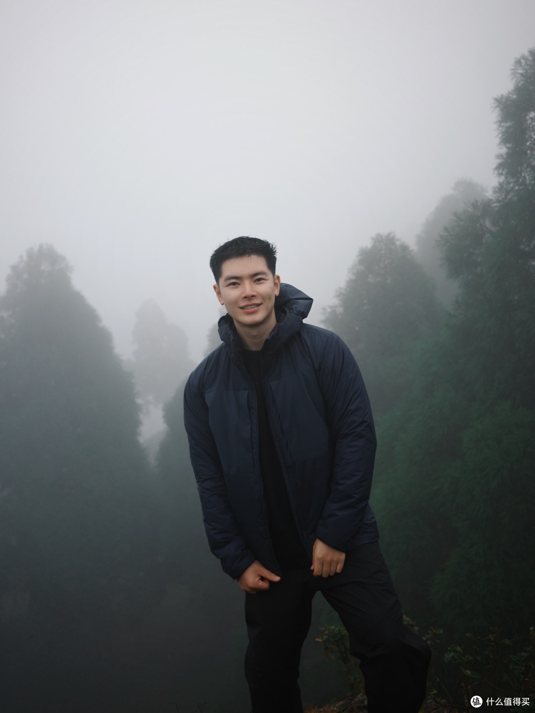 迷雾森林版六五顶🔝