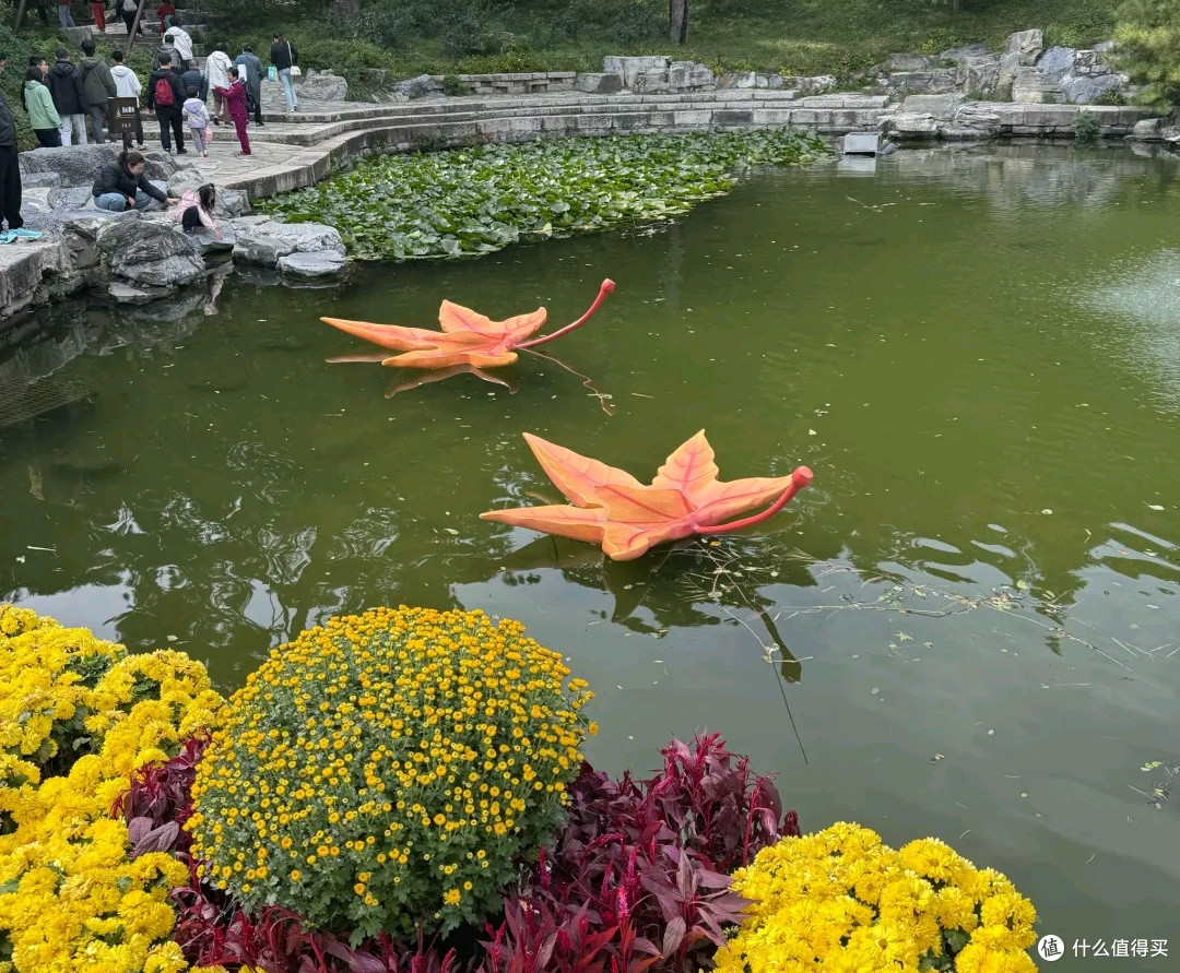 十一去哪?去香山公园,登高远眺赏红叶