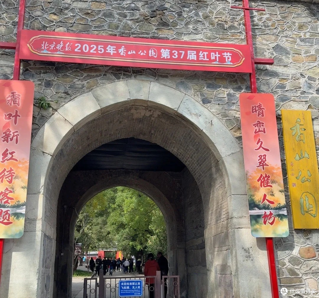 十一去哪?去香山公园,登高远眺赏红叶