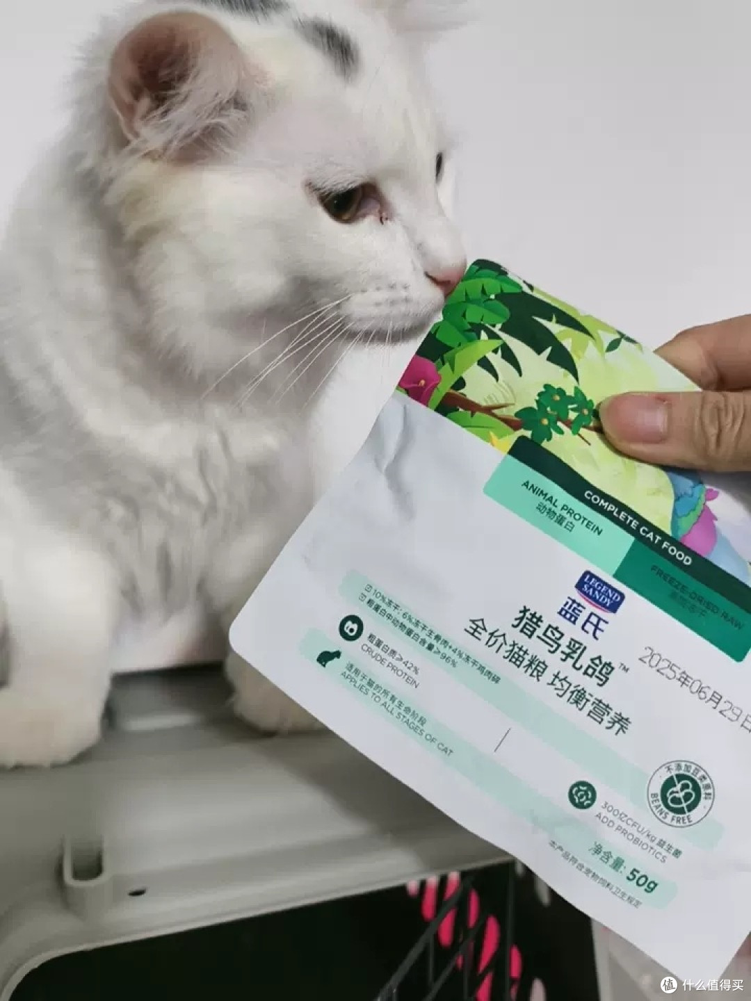 蓝氏猎鸟乳鸽猫粮双十一体验
