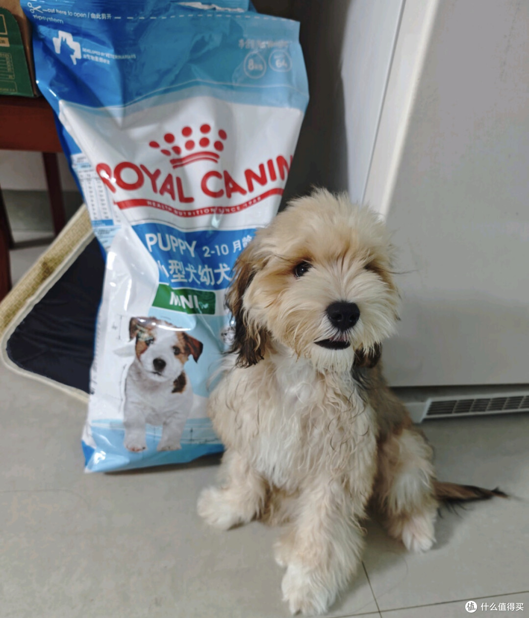 双11宠物食品推荐：皇家狗粮 幼犬狗粮 