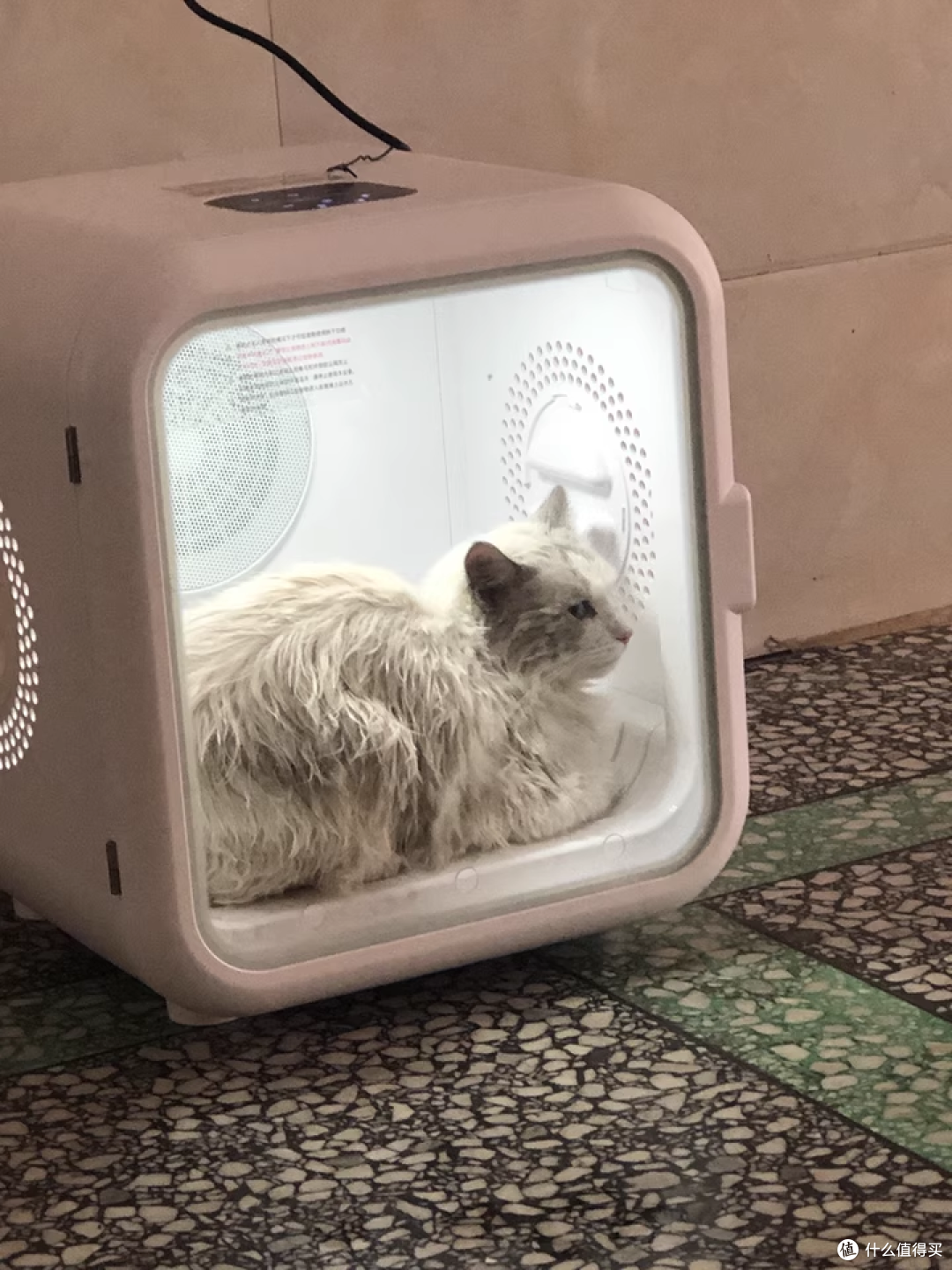 小户型养猫不占地！哔卡哔全自动烘干箱