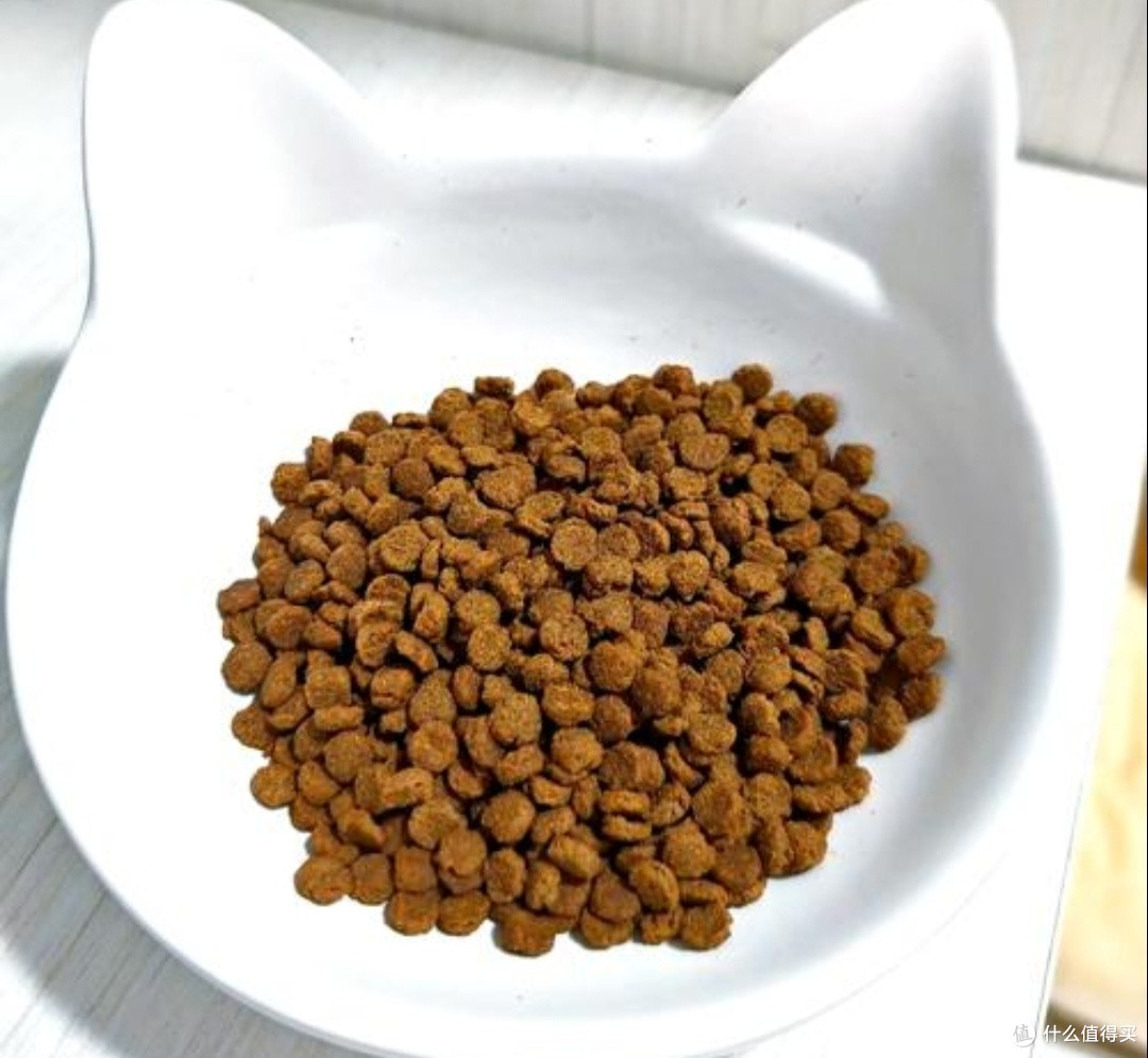 双十一宠物食堂大赏,进口粮,国产粮,零食对比评测