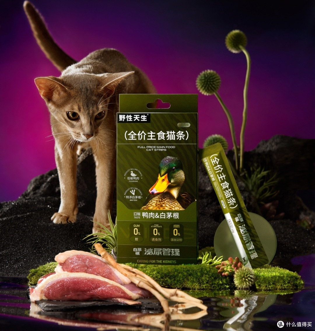 双十一宠物食堂大赏,进口粮,国产粮,零食对比评测