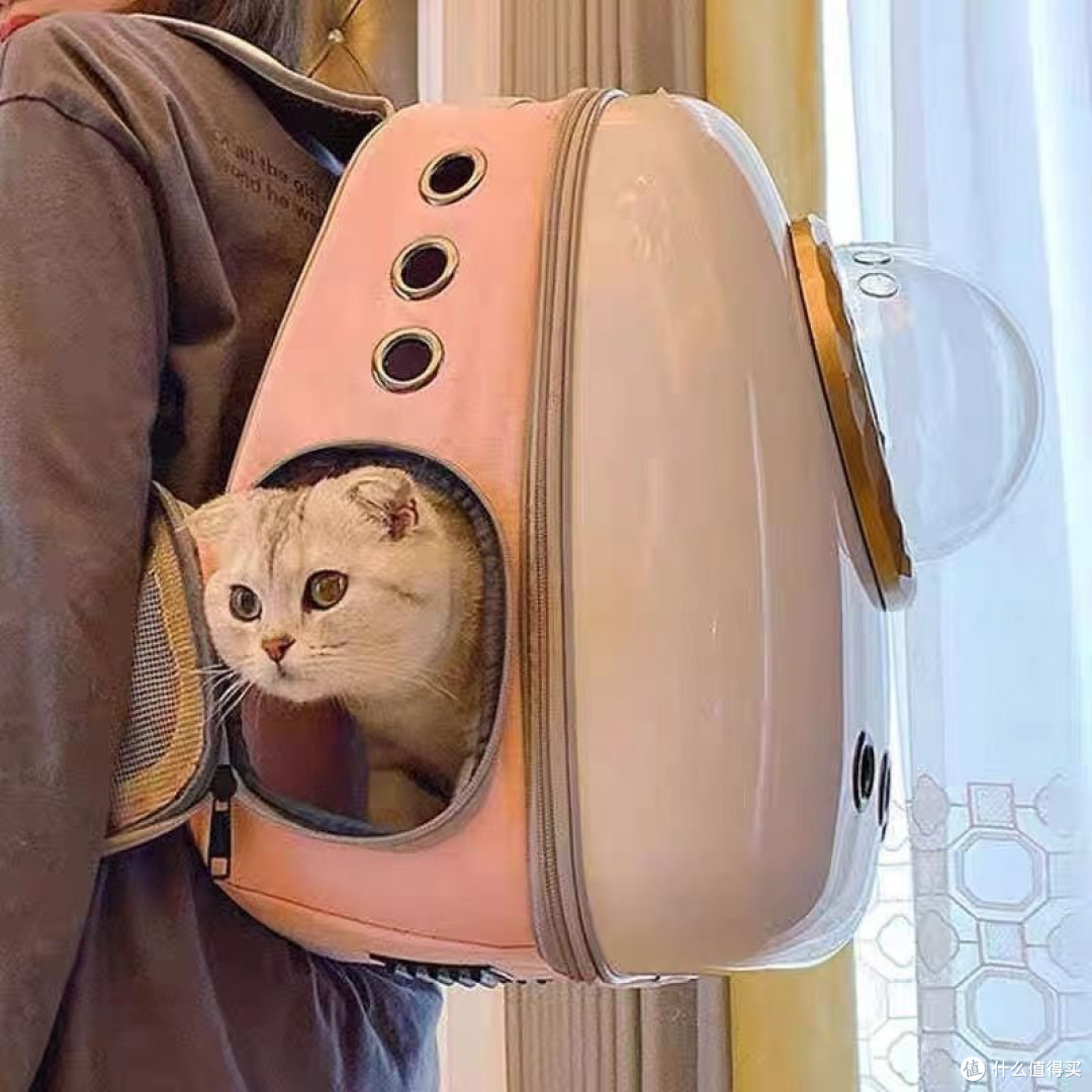 双11养宠必囤!透明太空舱猫包,外出带宠超省心